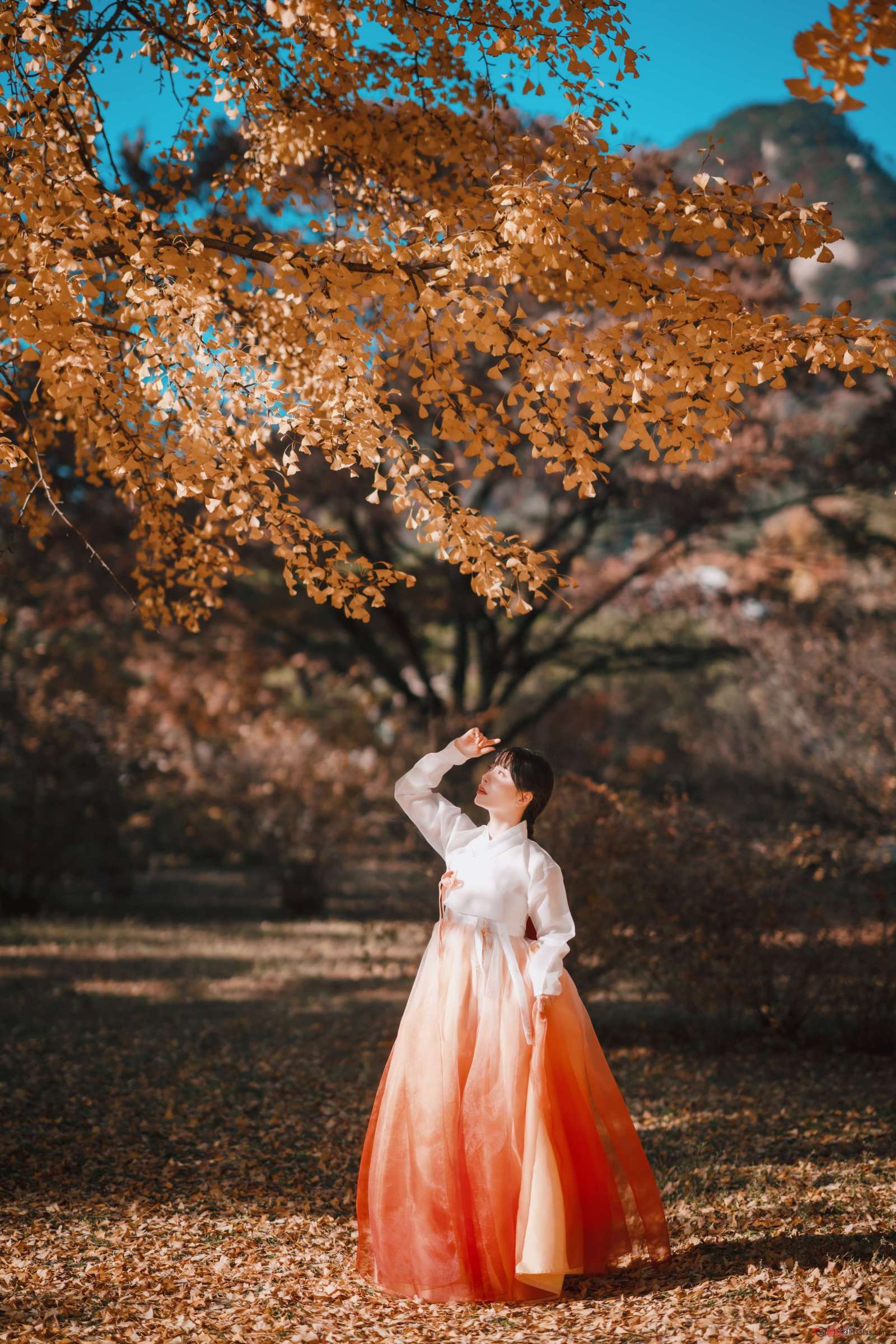 https://www.lss77.com/wp-content/uploads/2023/10/1696914881-7f6ffaa6bb0b408-1600x2400.jpg