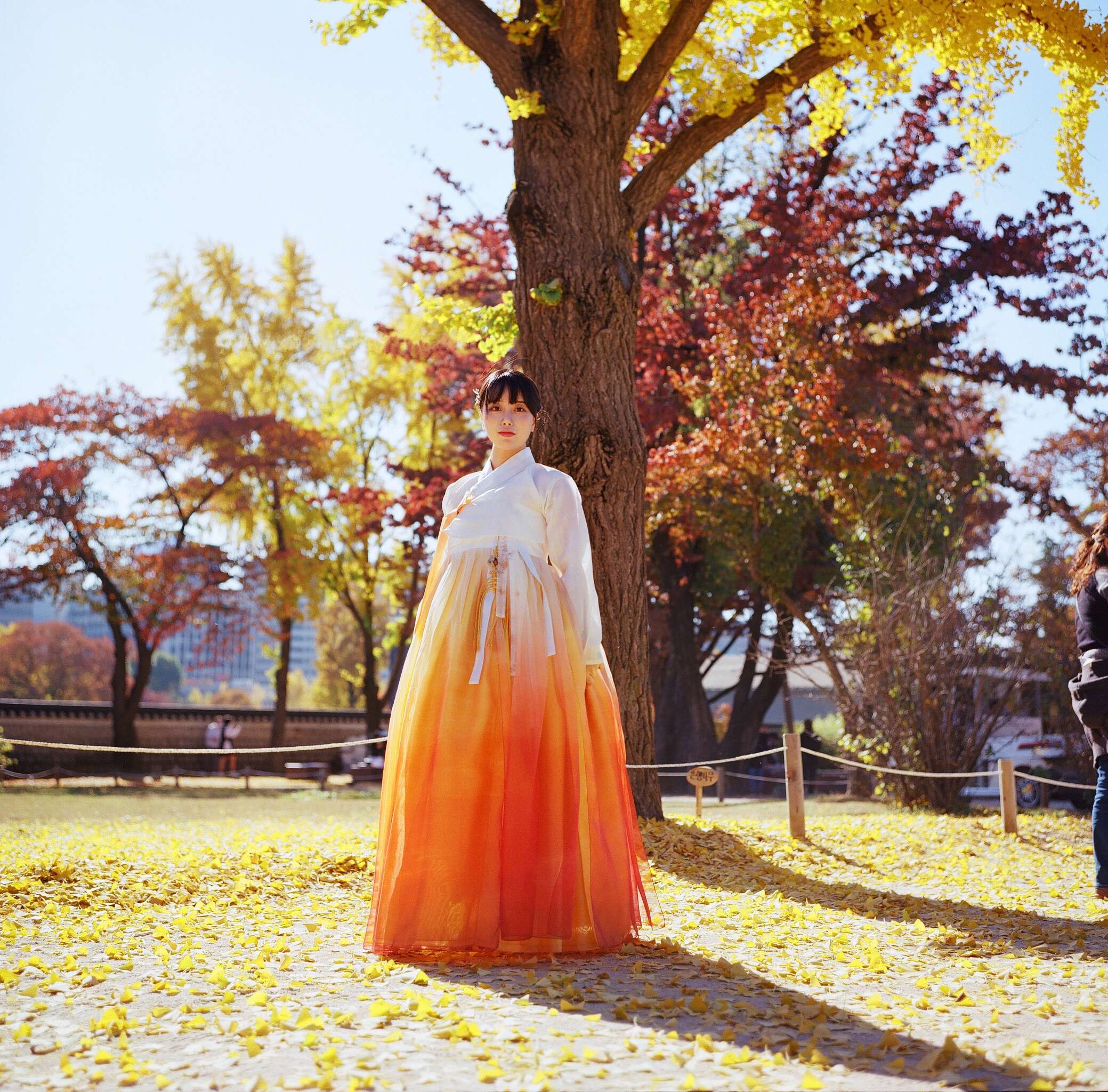 https://www.lss77.com/wp-content/uploads/2023/10/1696914957-65ded5353c5ee48.jpg