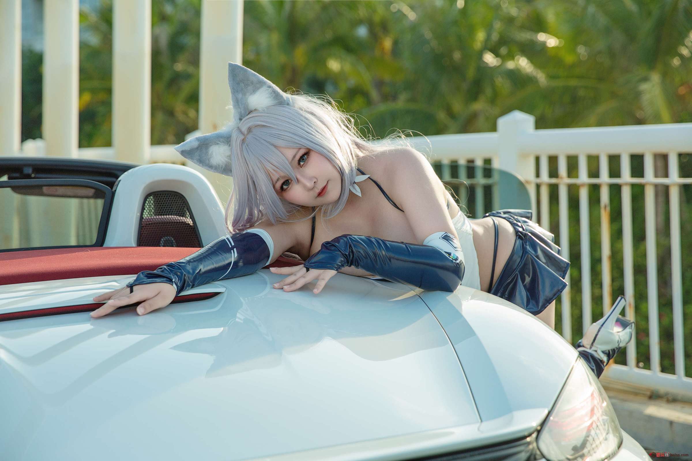 https://www.lss77.com/wp-content/uploads/2023/10/1697094045-88ddadec554e6dd-2400x1600.jpg