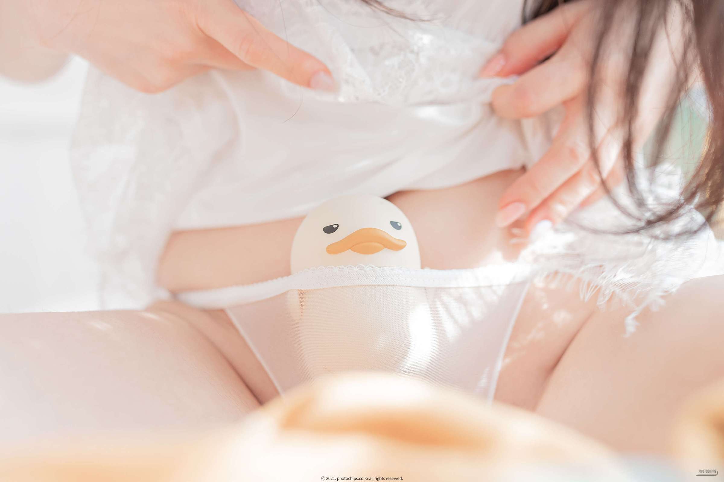 https://www.lss77.com/wp-content/uploads/2023/10/1698406181-9c3ce93643ed685-2400x1600.jpg