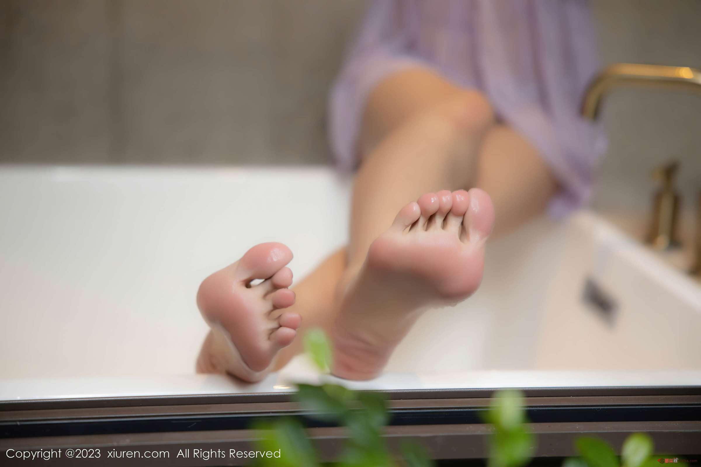 https://www.lss77.com/wp-content/uploads/2023/11/1699078340-fc1198178c3594b-2400x1600.jpg