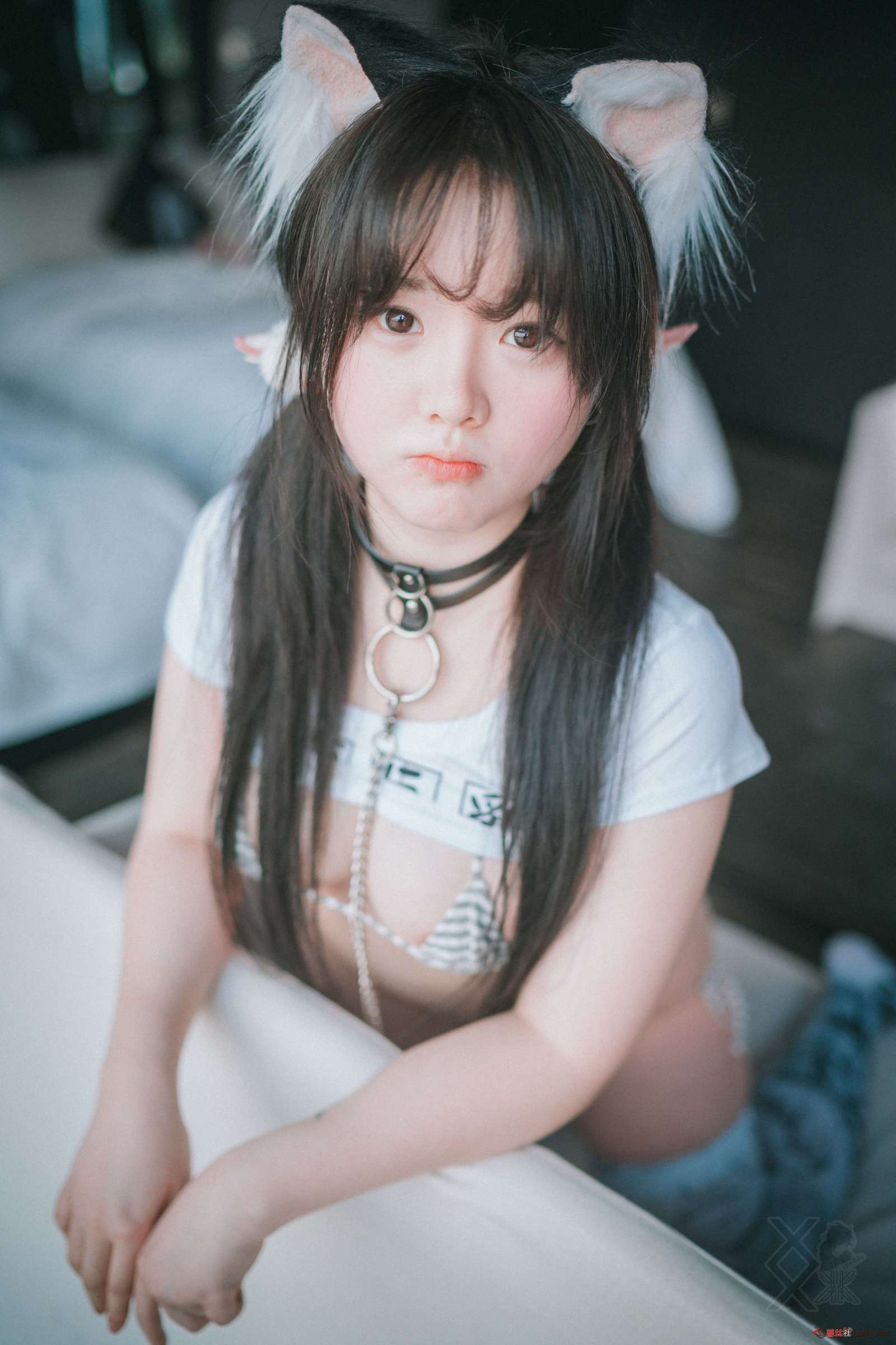 https://www.lss77.com/wp-content/uploads/2023/11/1699689020-e88a49bccde359f-1600x2400.jpg