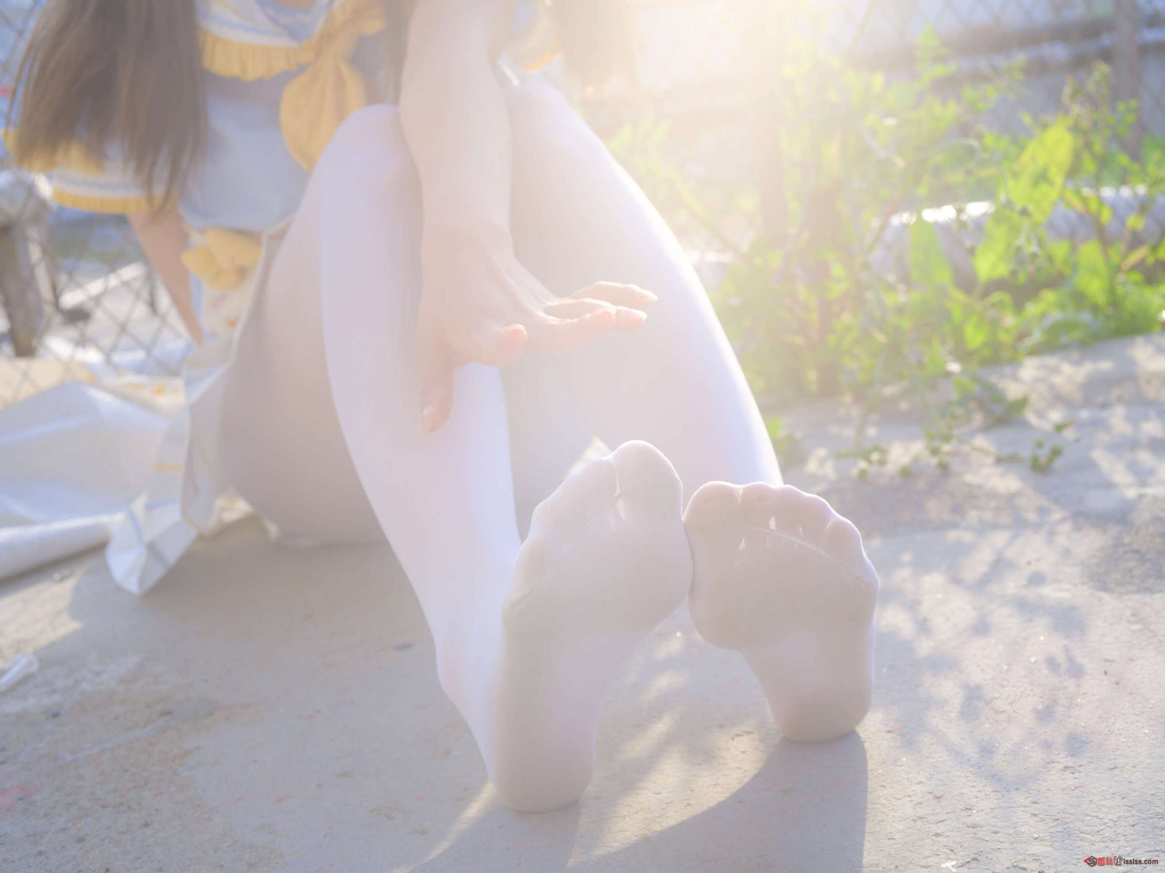 https://www.lss77.com/wp-content/uploads/2023/12/1701590647-585869cdf36ea98-2400x1800.jpg