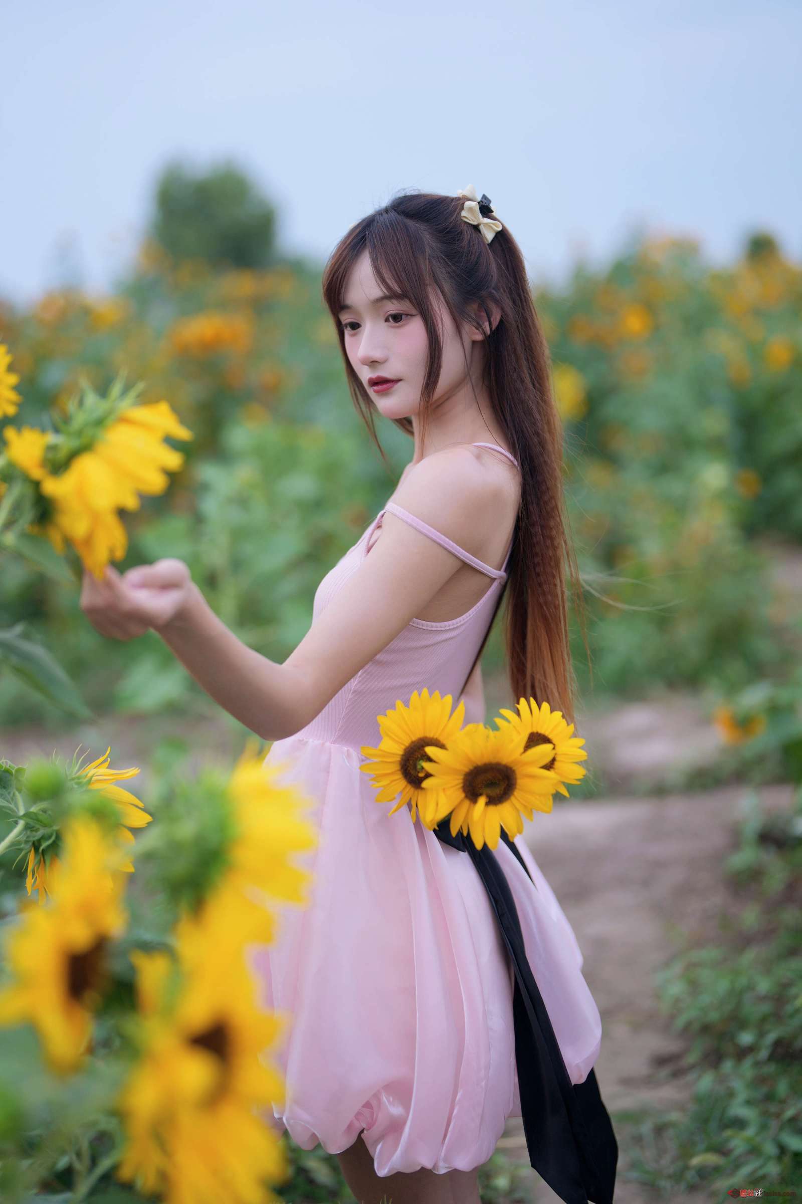 https://www.lss77.com/wp-content/uploads/2023/12/1703333541-4e732ced3463d06-1600x2400.jpg