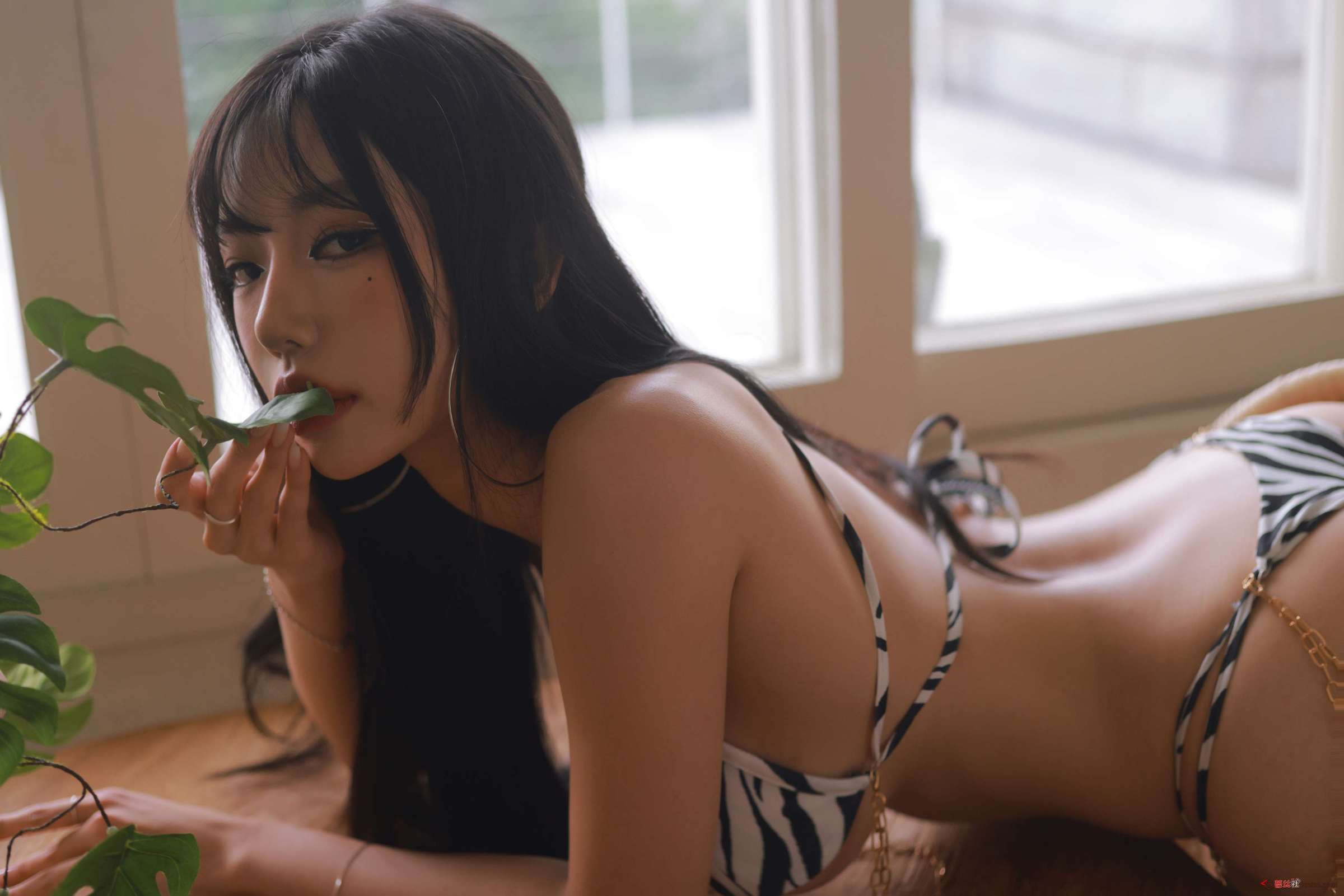 https://www.lss77.com/wp-content/uploads/2024/01/1704082441-682670d9ab0aaa4-2400x1601.jpg
