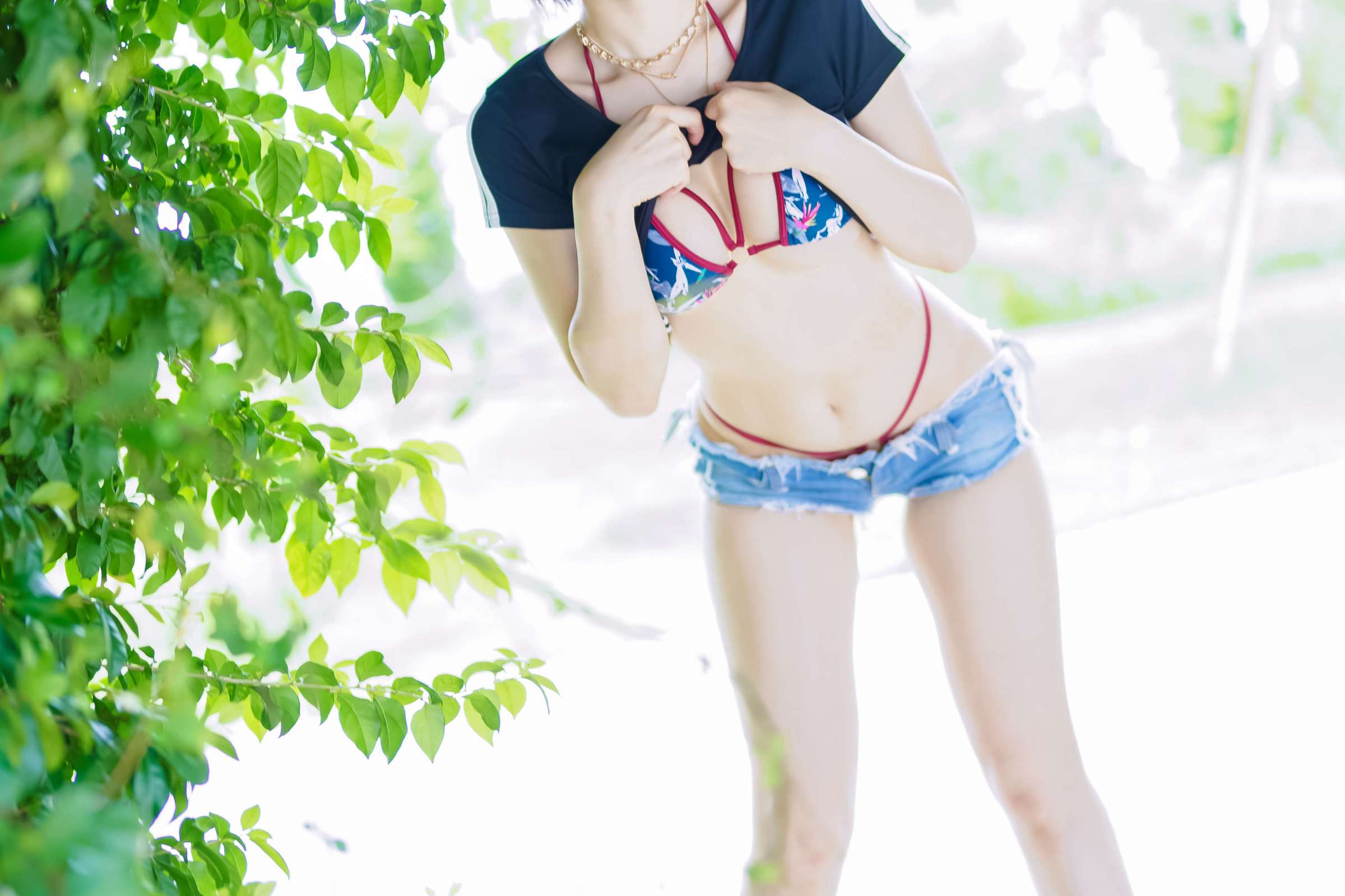 https://www.lss77.com/wp-content/uploads/2024/01/1704083597-ef0d3930a7b6c95-2400x1600.jpg