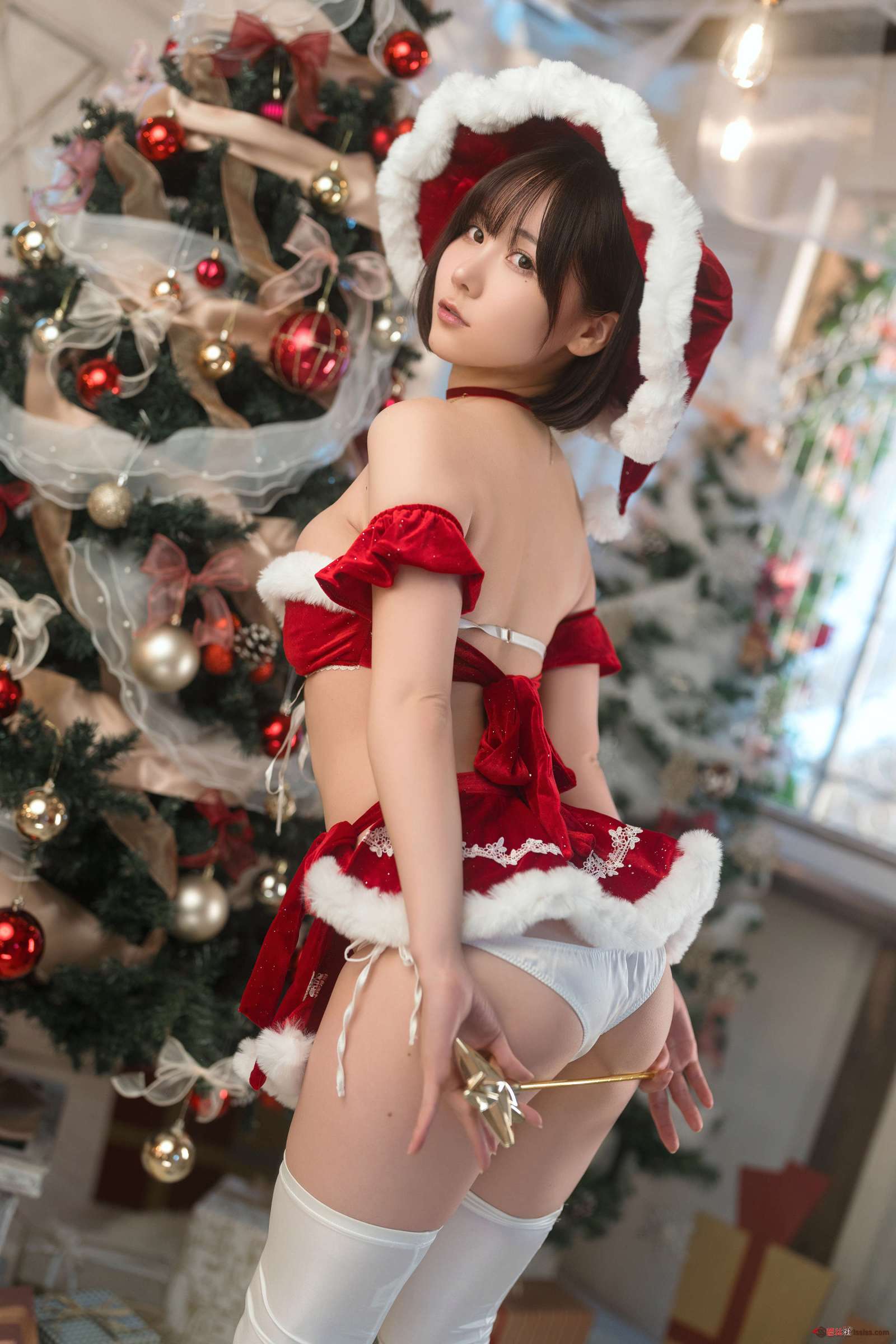 https://www.lss77.com/wp-content/uploads/2024/01/1704301995-1385974ed5904a4-1600x2400.jpeg