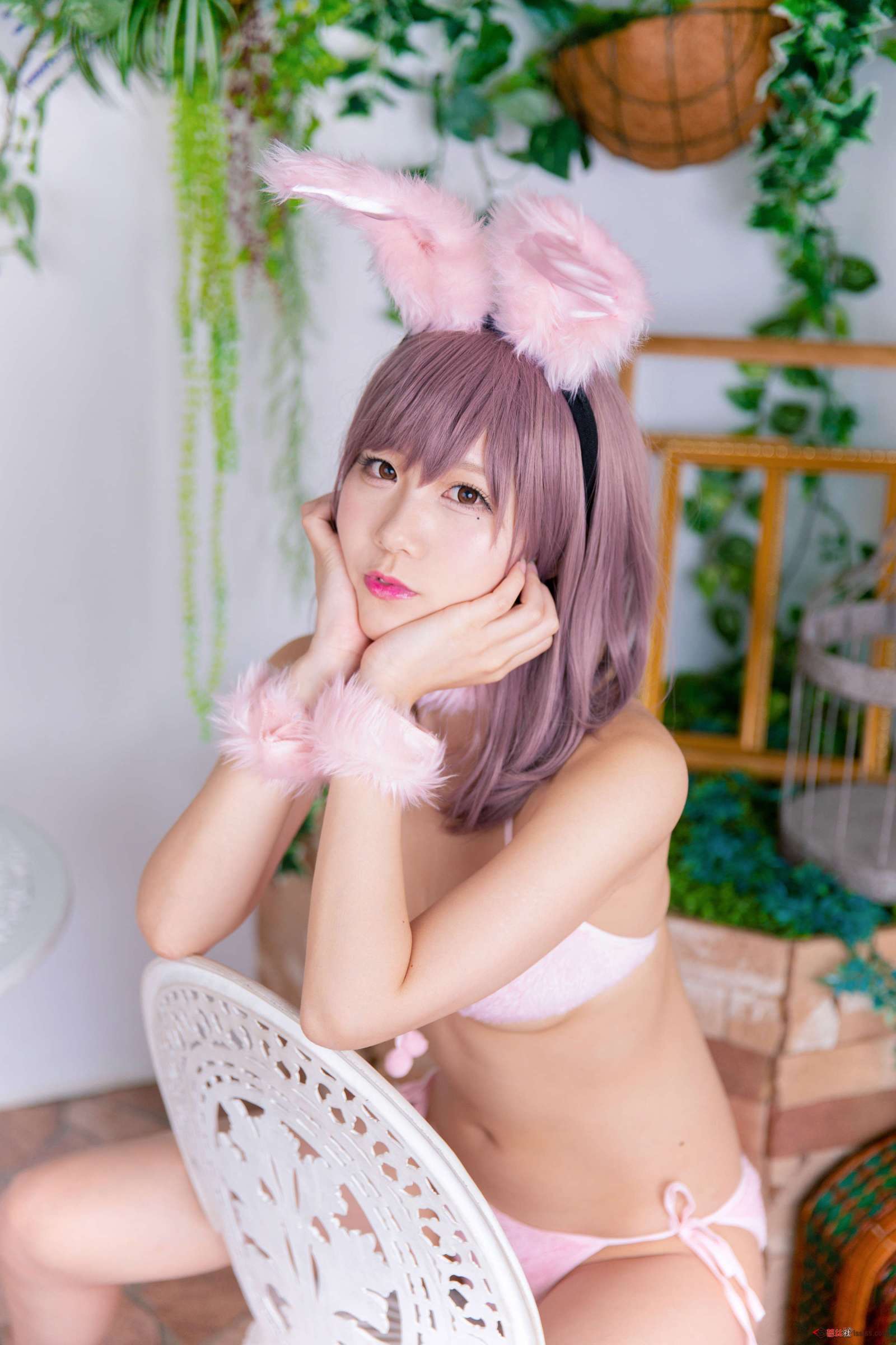 https://www.lss77.com/wp-content/uploads/2024/01/1704471378-7419ef62d67197f-1600x2400.jpg