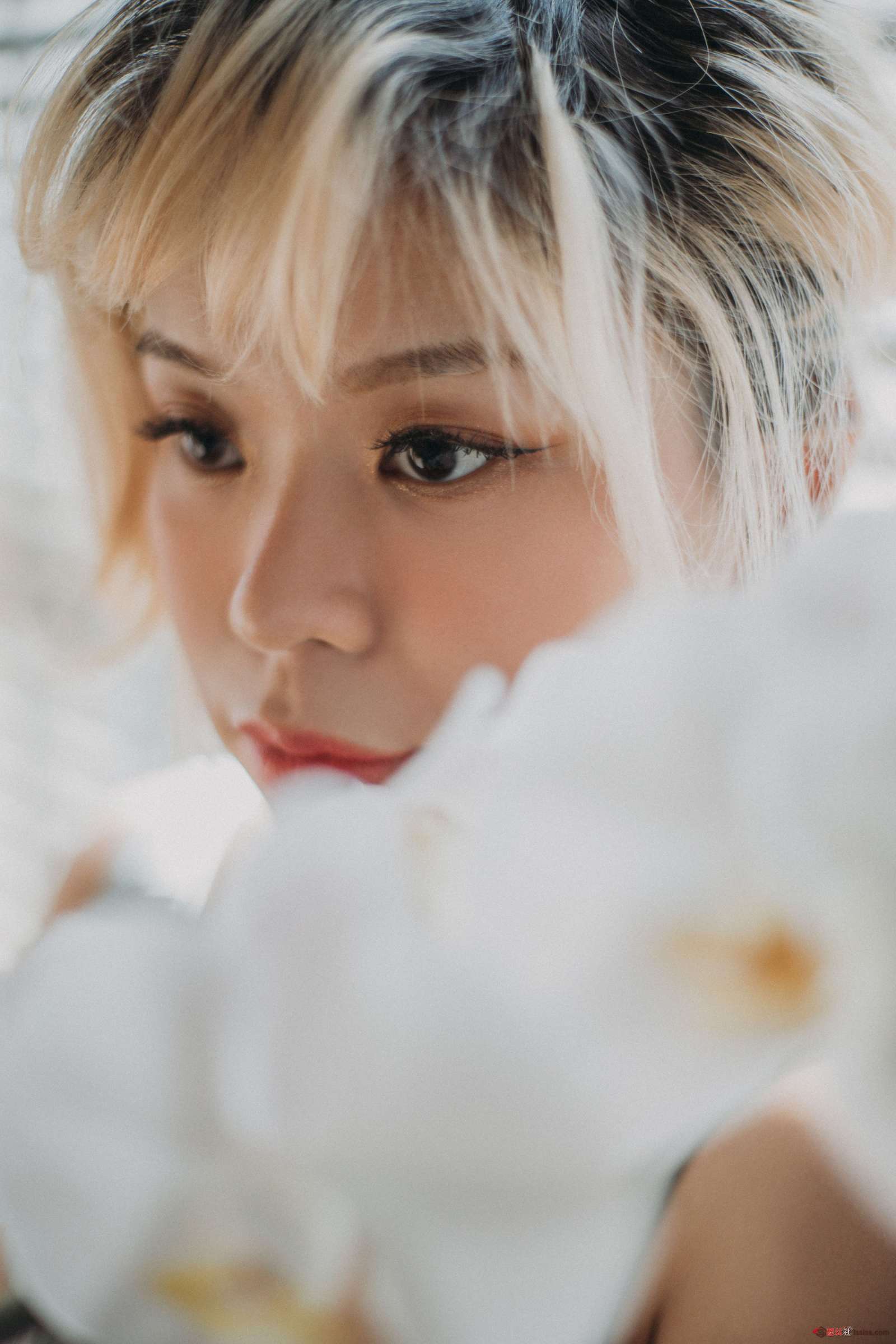 https://www.lss77.com/wp-content/uploads/2024/01/1704884105-31c8f1568c7dd69-1600x2400.jpg