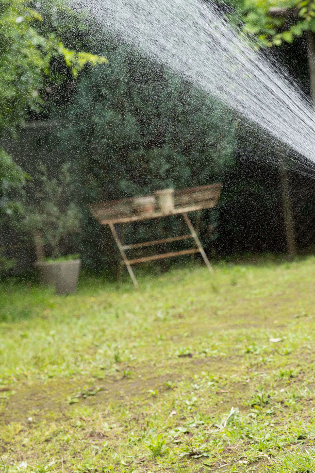 https://www.lss77.com/wp-content/uploads/2024/01/1706285228-2d17b1cd9f1f0c8.jpg