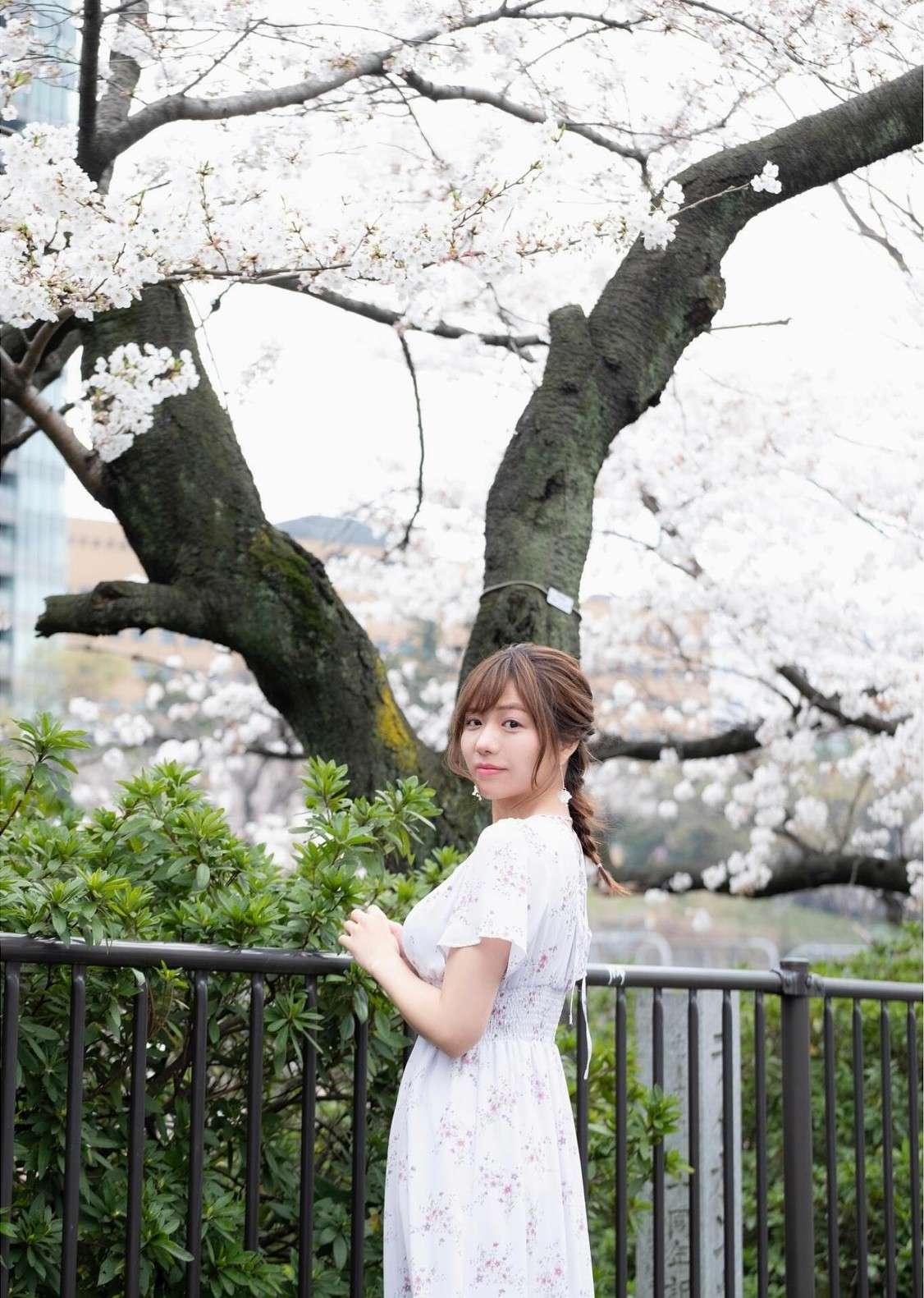 https://www.lss77.com/wp-content/uploads/2024/01/1706439539-7cd86ecb09aa48c.jpg