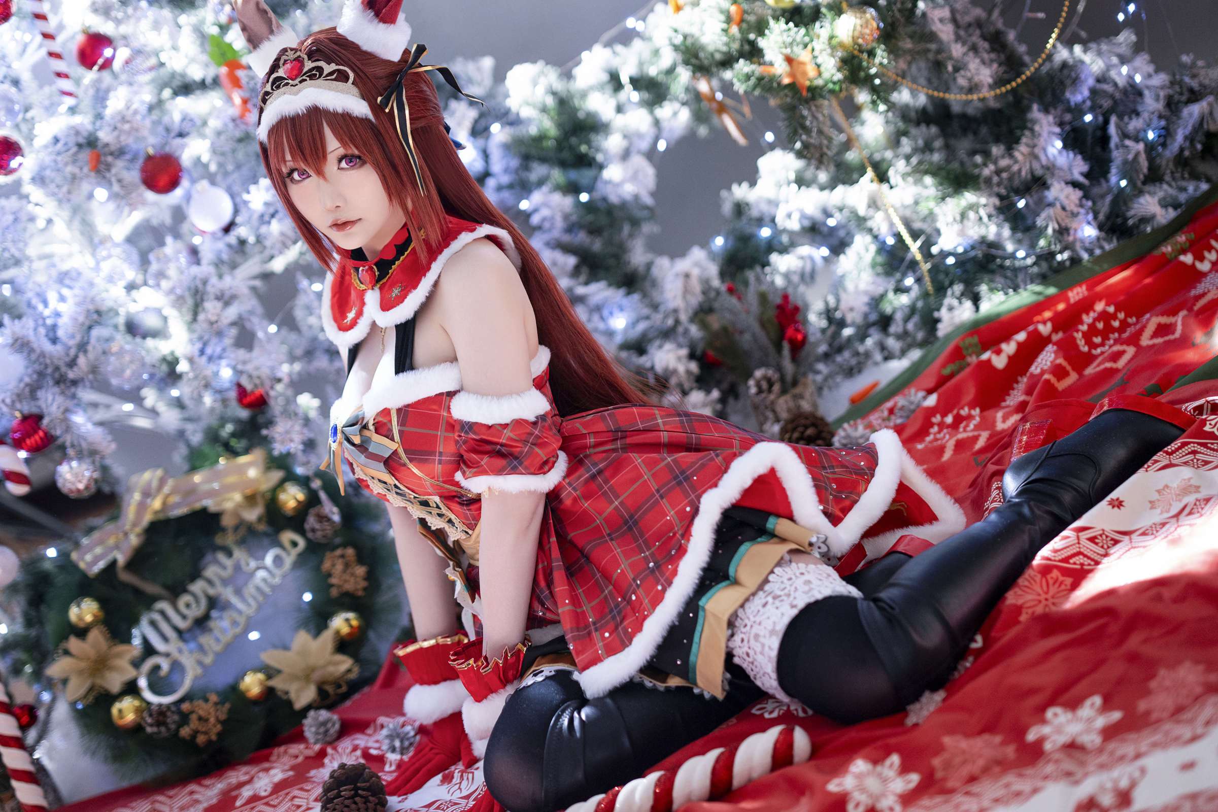https://www.lss77.com/wp-content/uploads/2024/02/1707301300-51d92be1c60d1db-2400x1600.jpg