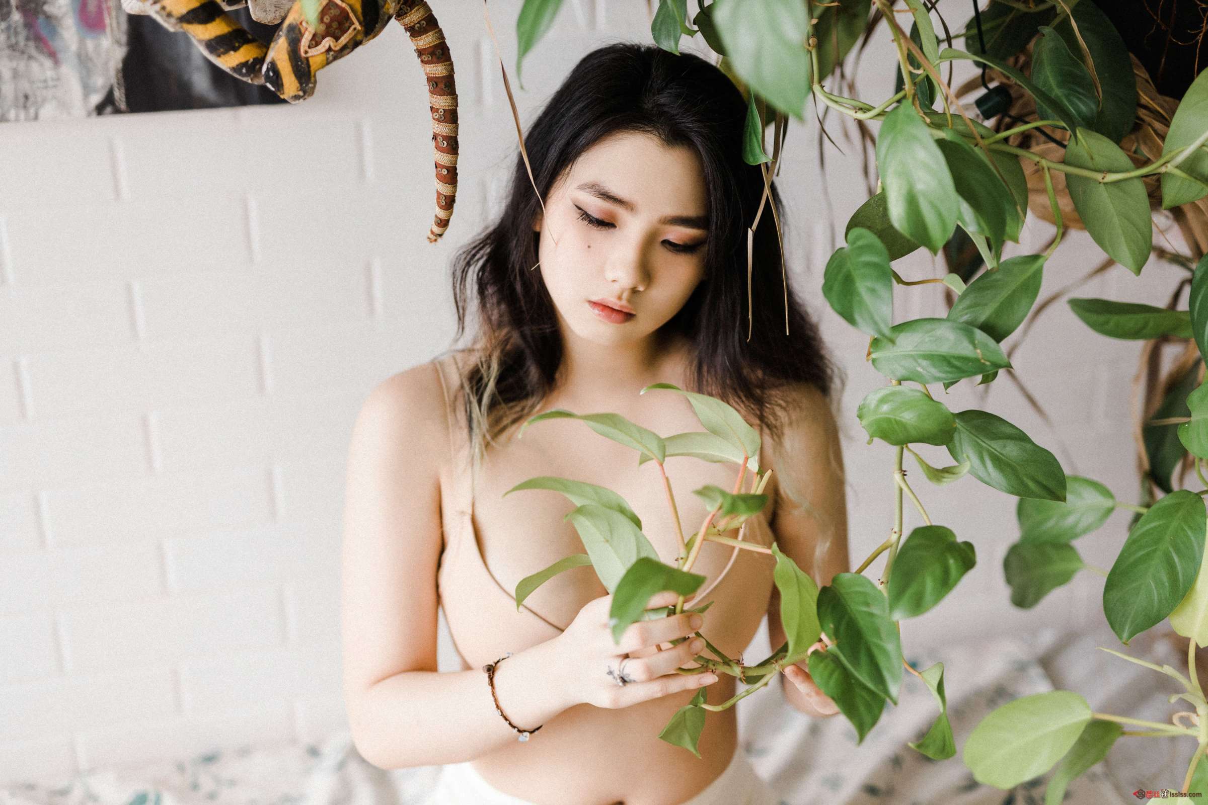 https://www.lss77.com/wp-content/uploads/2024/03/1709313686-a0a080f42e6f13b-2400x1600.jpg