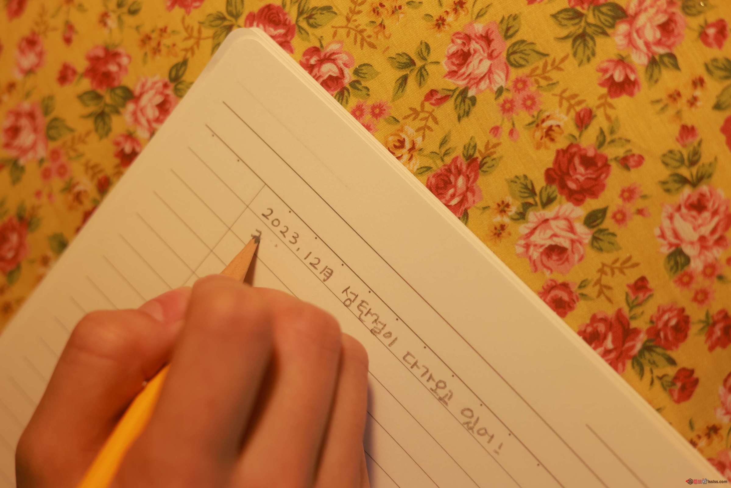 https://www.lss77.com/wp-content/uploads/2024/03/1709465210-ba55ff88bddf712-2400x1601.jpg