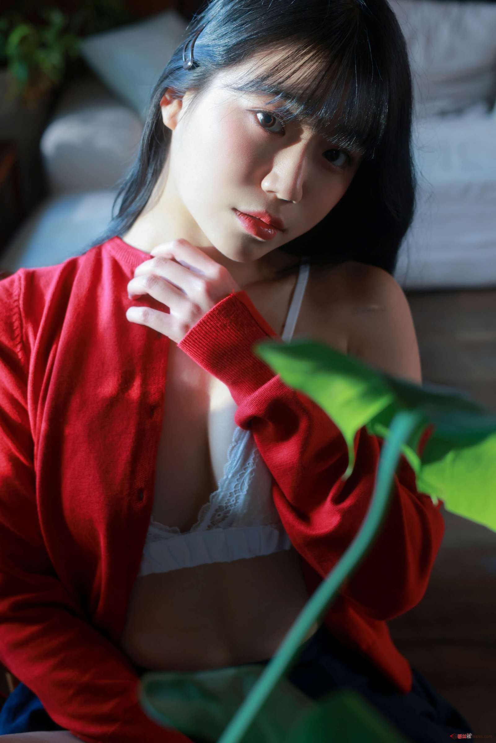 https://www.lss77.com/wp-content/uploads/2024/03/1709466326-bd686fd640be98e-1601x2400.jpg