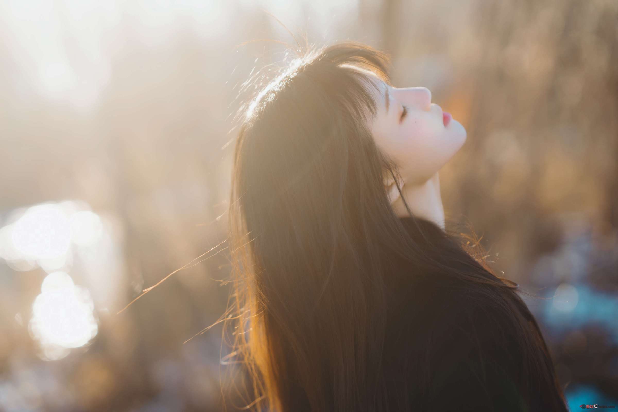 https://www.lss77.com/wp-content/uploads/2024/03/1709967161-98b297950041a42-2400x1601.jpg