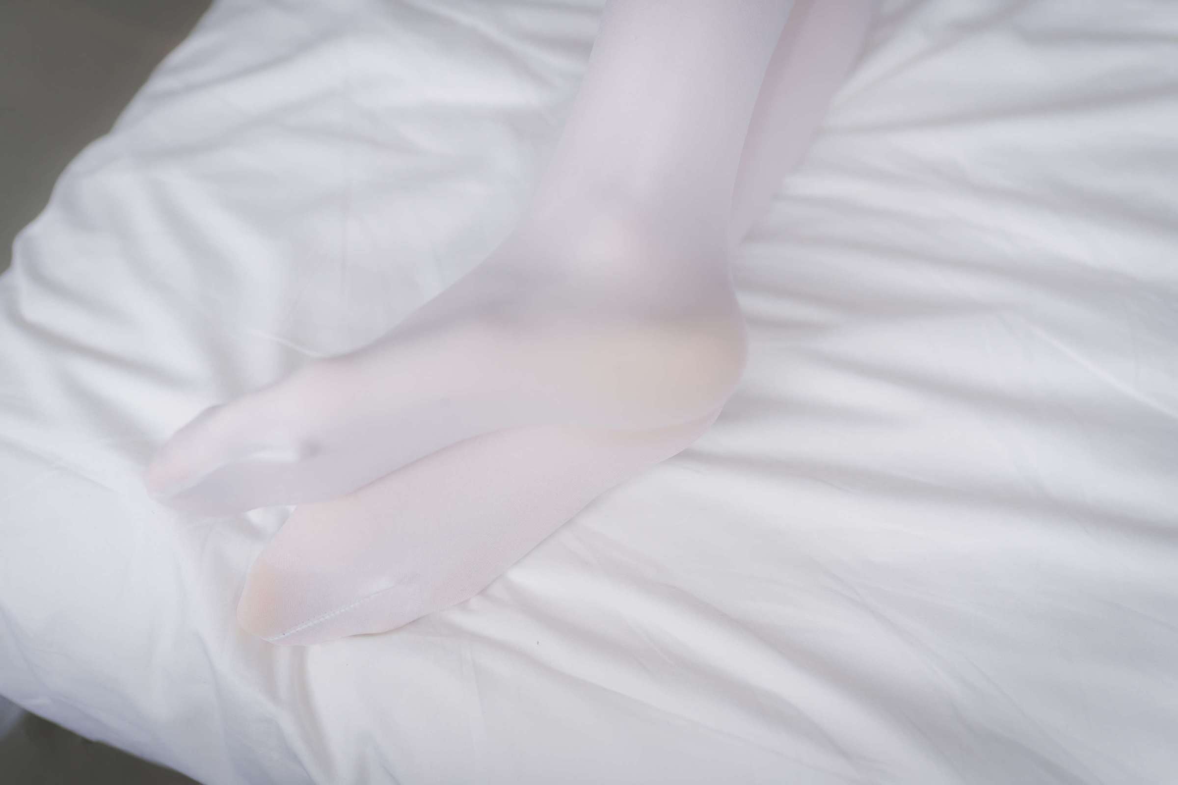 https://www.lss77.com/wp-content/uploads/2024/03/1711281389-fe73f687e5bc528-2400x1600.jpg