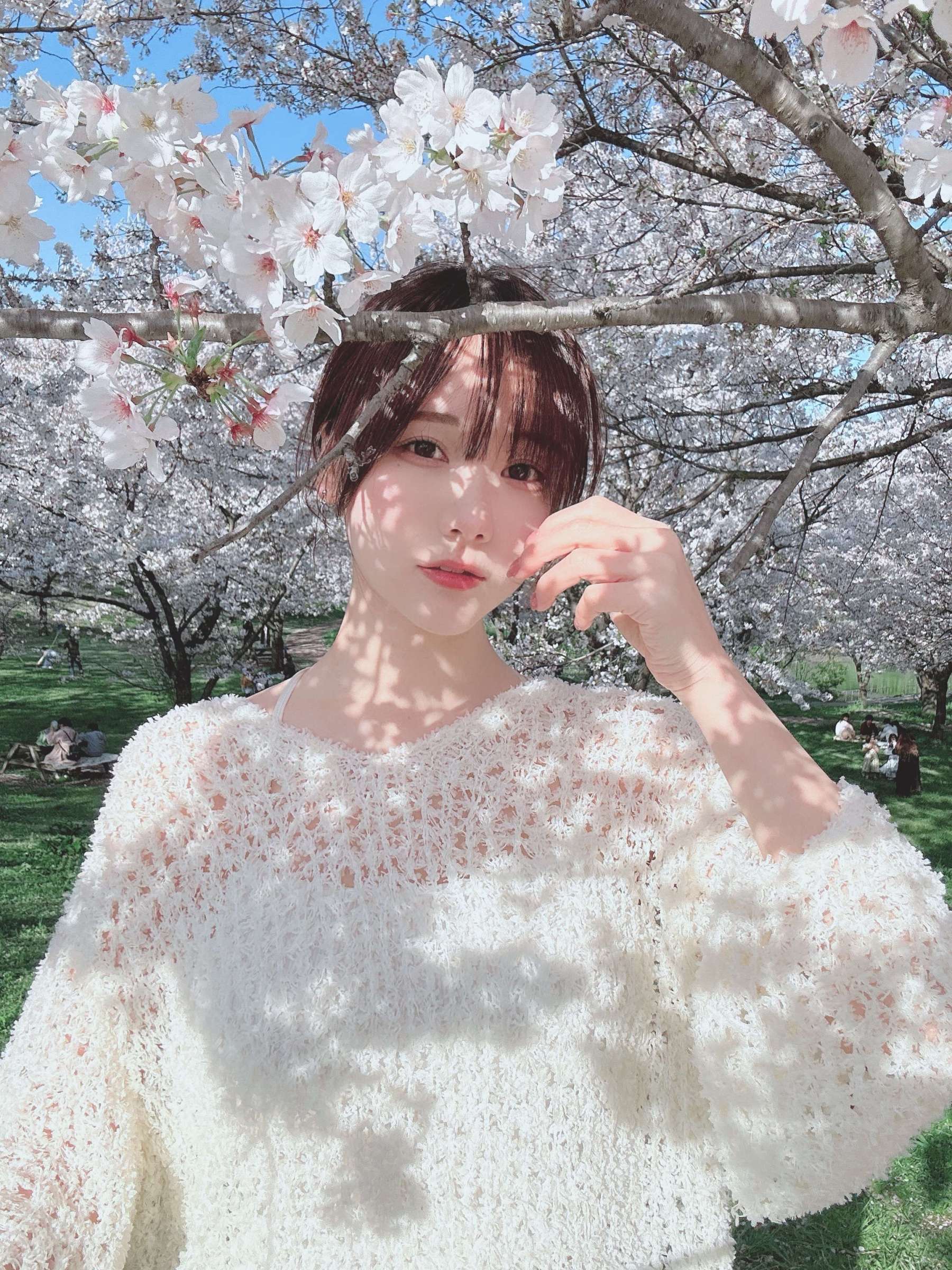 https://www.lss77.com/wp-content/uploads/2024/05/1715749430-34ed066df378efa-1800x2400.jpg