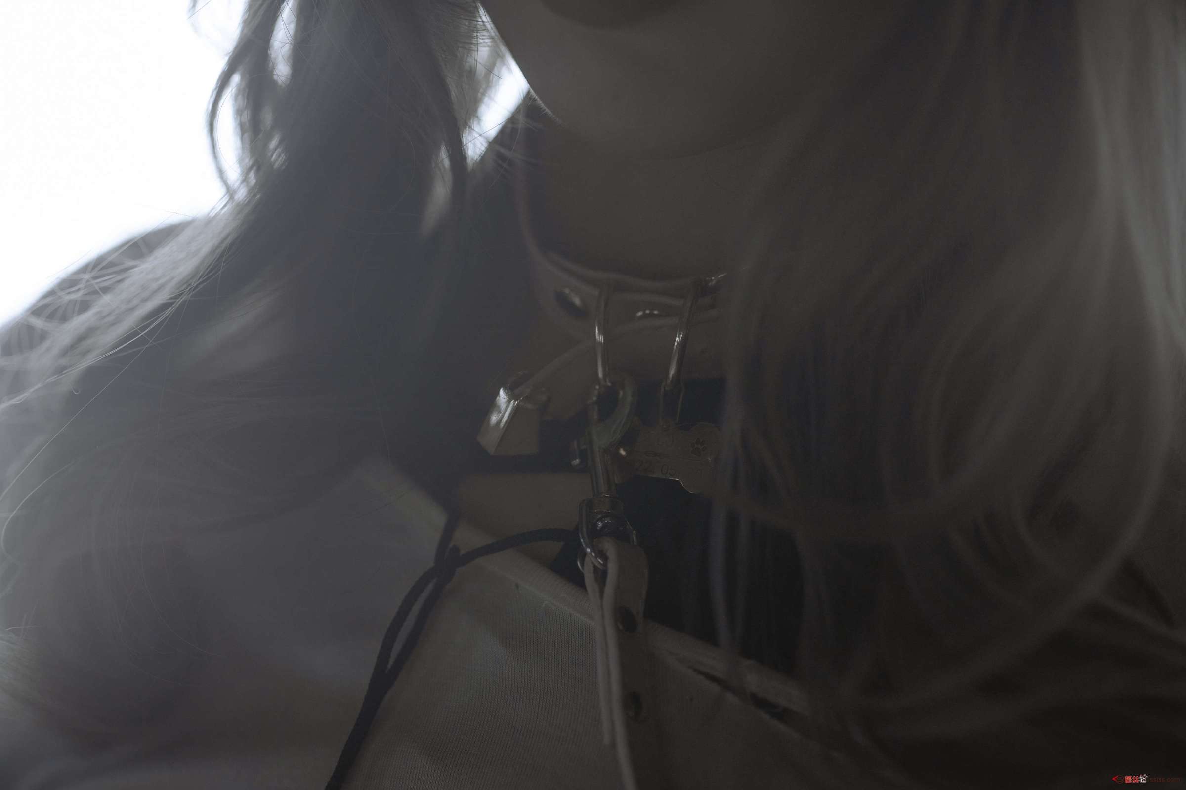 https://www.lss77.com/wp-content/uploads/2024/05/1716292512-39461a19e9eddfb-2400x1600.jpg