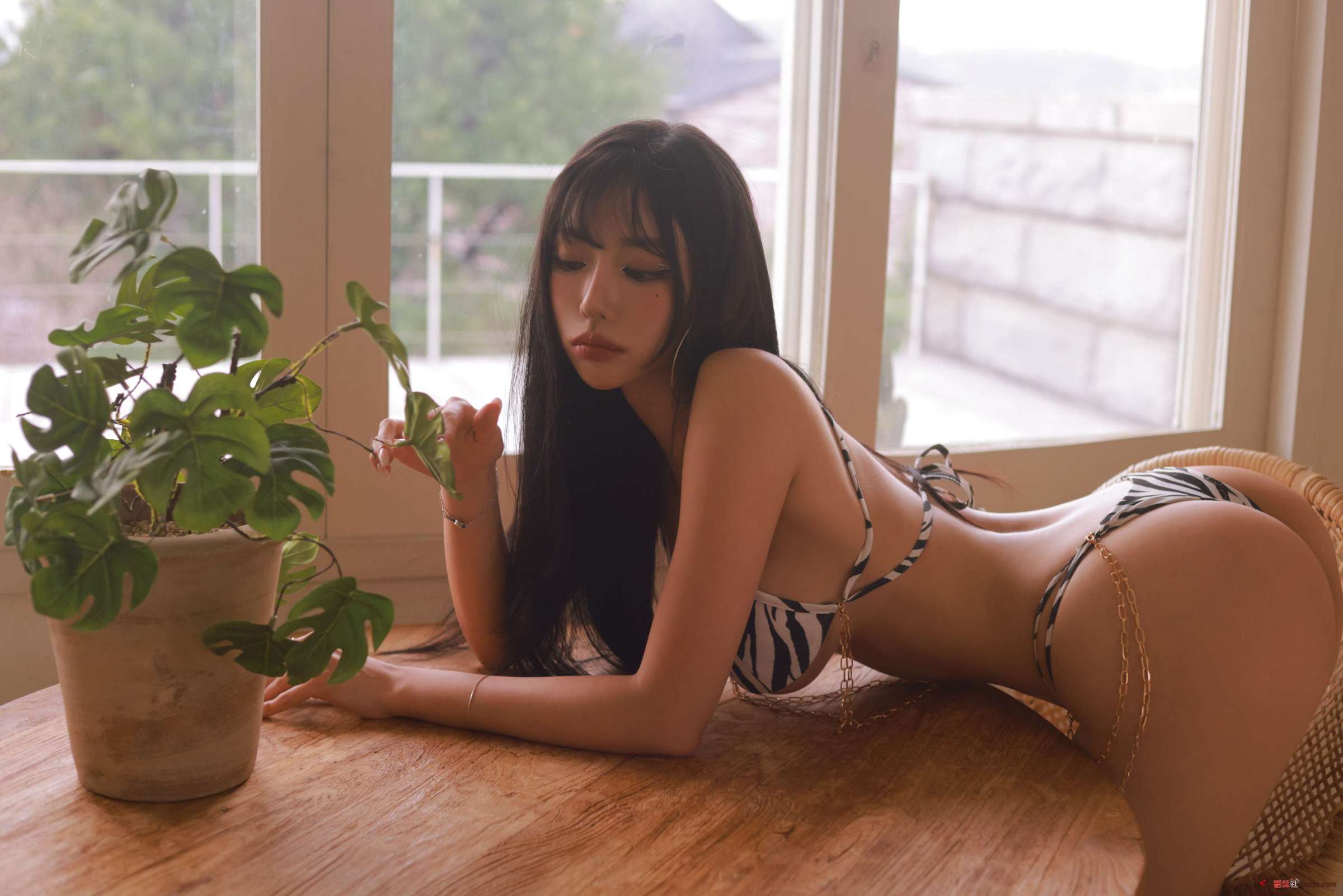 https://www.lss77.com/wp-content/uploads/2024/05/1716468799-11b9842e0a271ff-2400x1601.jpg