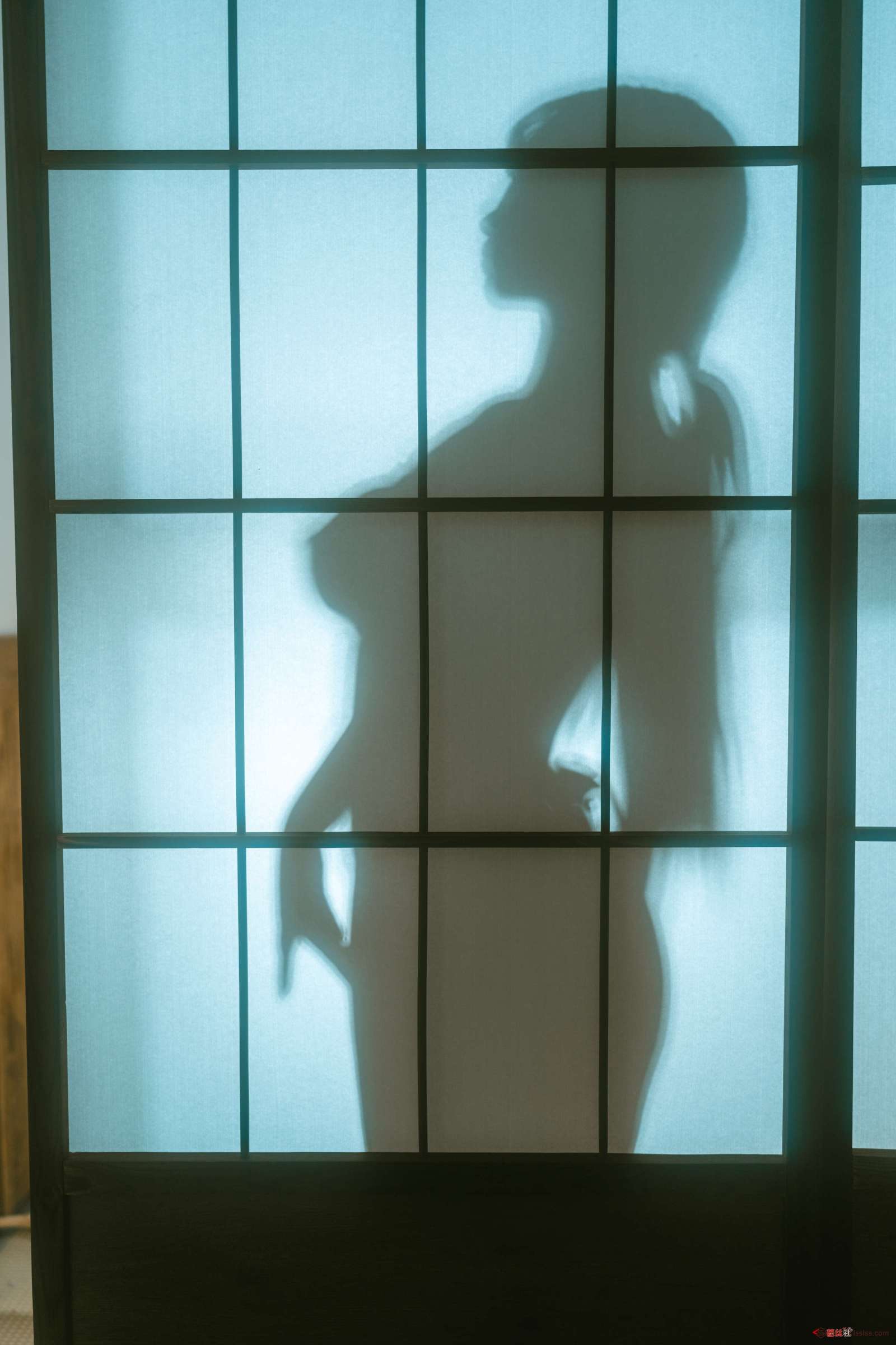 https://www.lss77.com/wp-content/uploads/2024/05/1716554378-556f391937dfd43-1600x2400.jpg