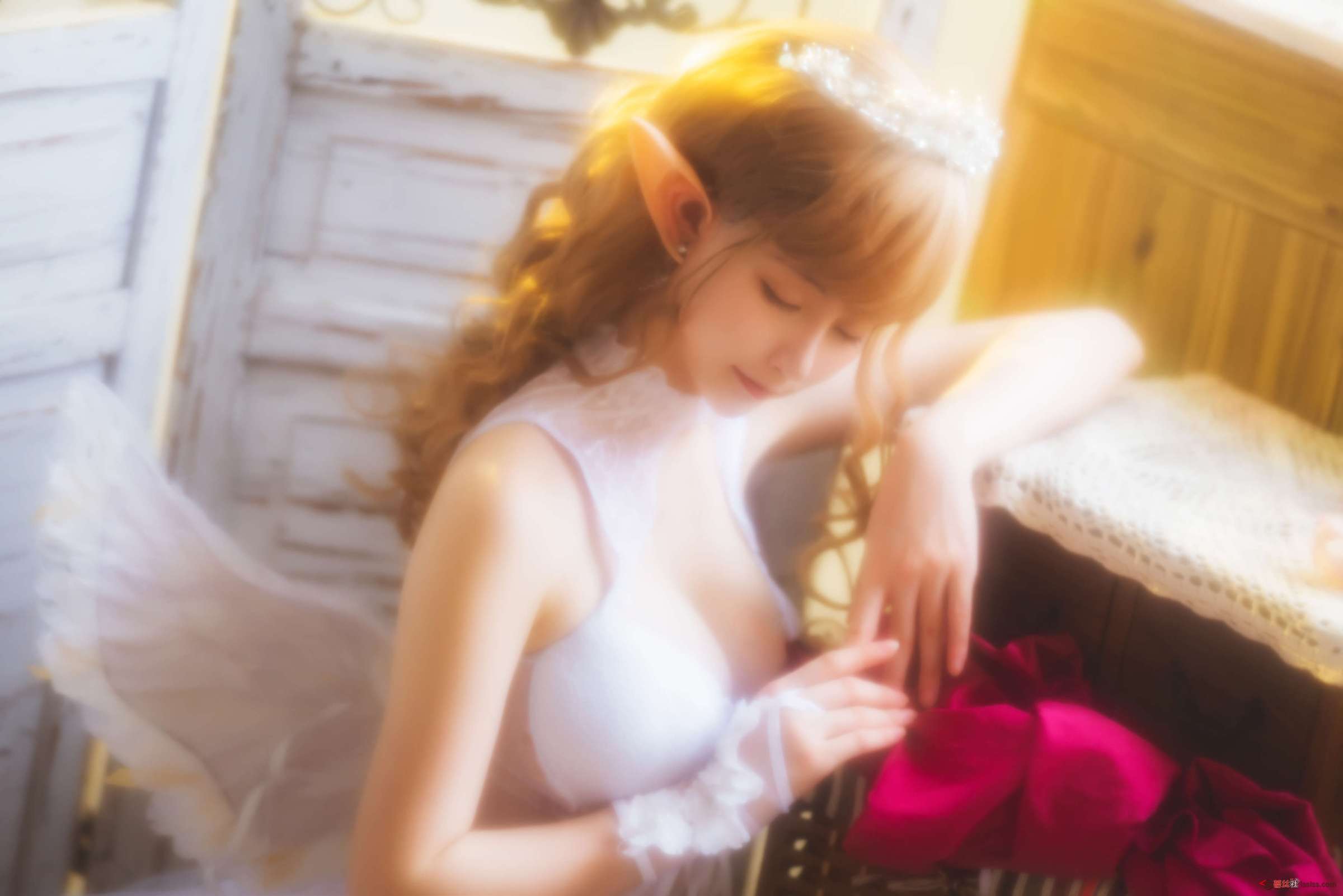 https://www.lss77.com/wp-content/uploads/2024/05/1716825065-10a5ab2db37feed-2400x1601.jpg