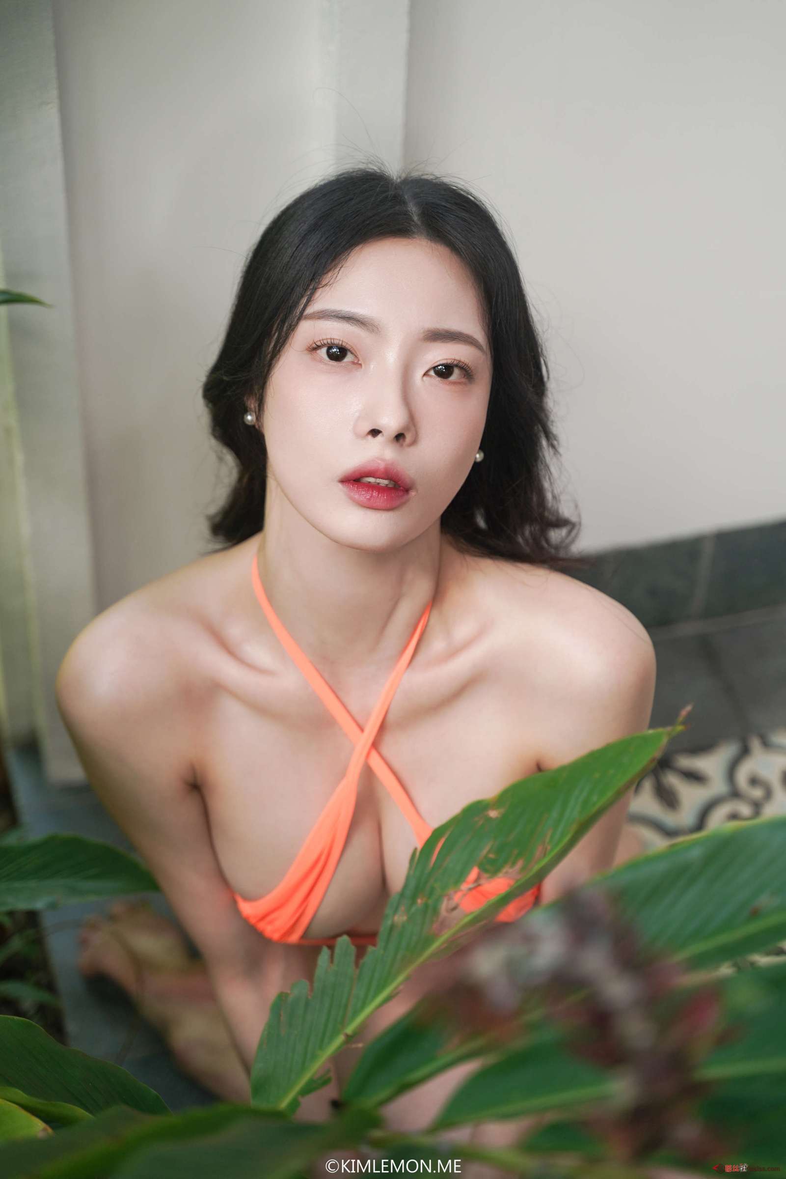 https://www.lss77.com/wp-content/uploads/2024/06/1719331192-8fc4c7ab4453d24-1601x2400.jpg