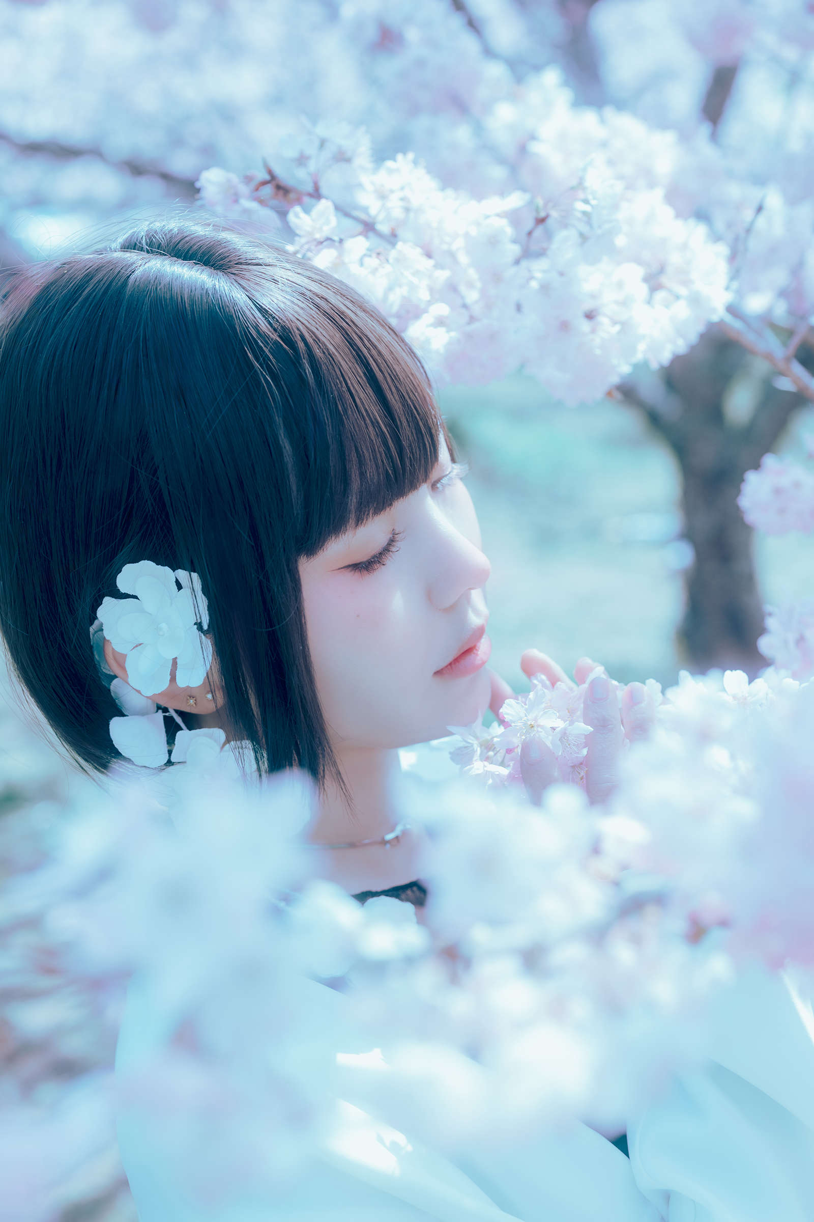 https://www.lss77.com/wp-content/uploads/2024/07/1720866152-fc221309746013a.jpg