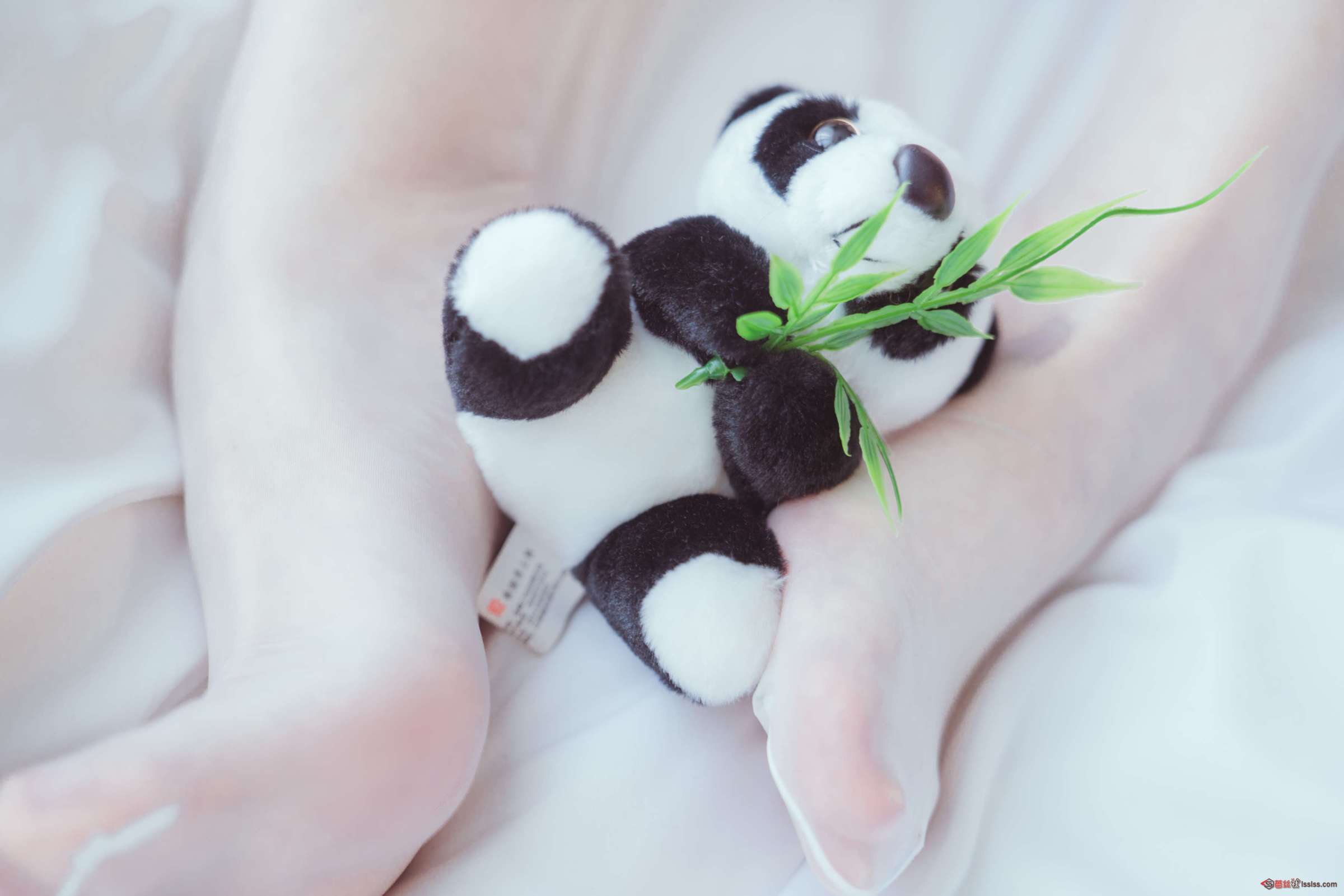 https://www.lss77.com/wp-content/uploads/2024/07/1721388393-0aa1883c6411f78-2400x1601.jpg