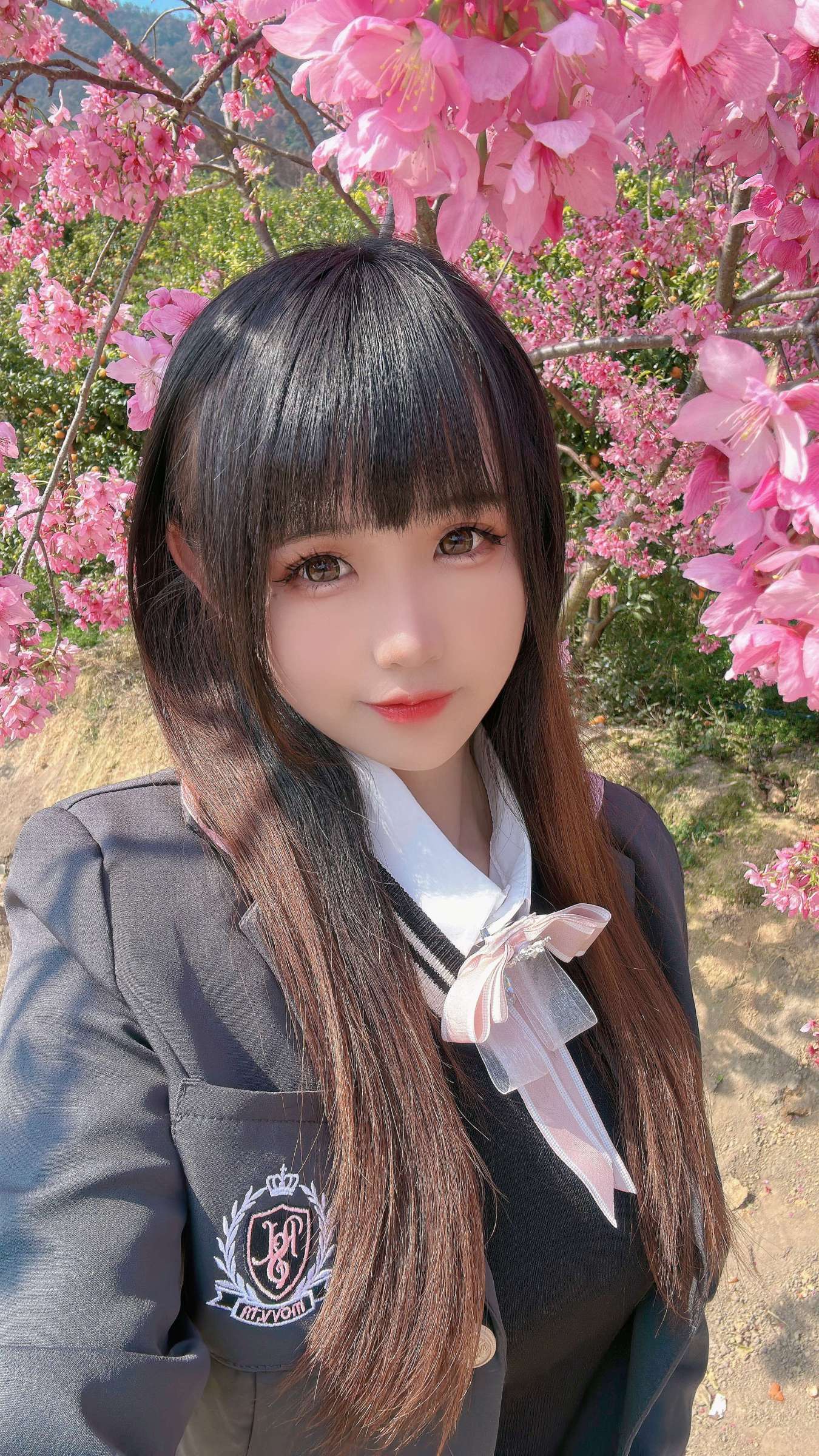 https://www.lss77.com/wp-content/uploads/2024/08/1723276870-37f0e884fbad966-1350x2400.jpg