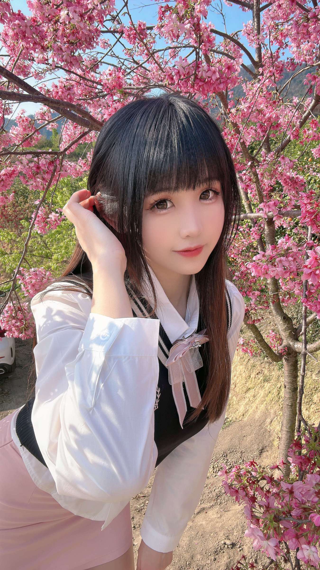 https://www.lss77.com/wp-content/uploads/2024/08/1723276897-298f95e1bf91361-1350x2400.jpg