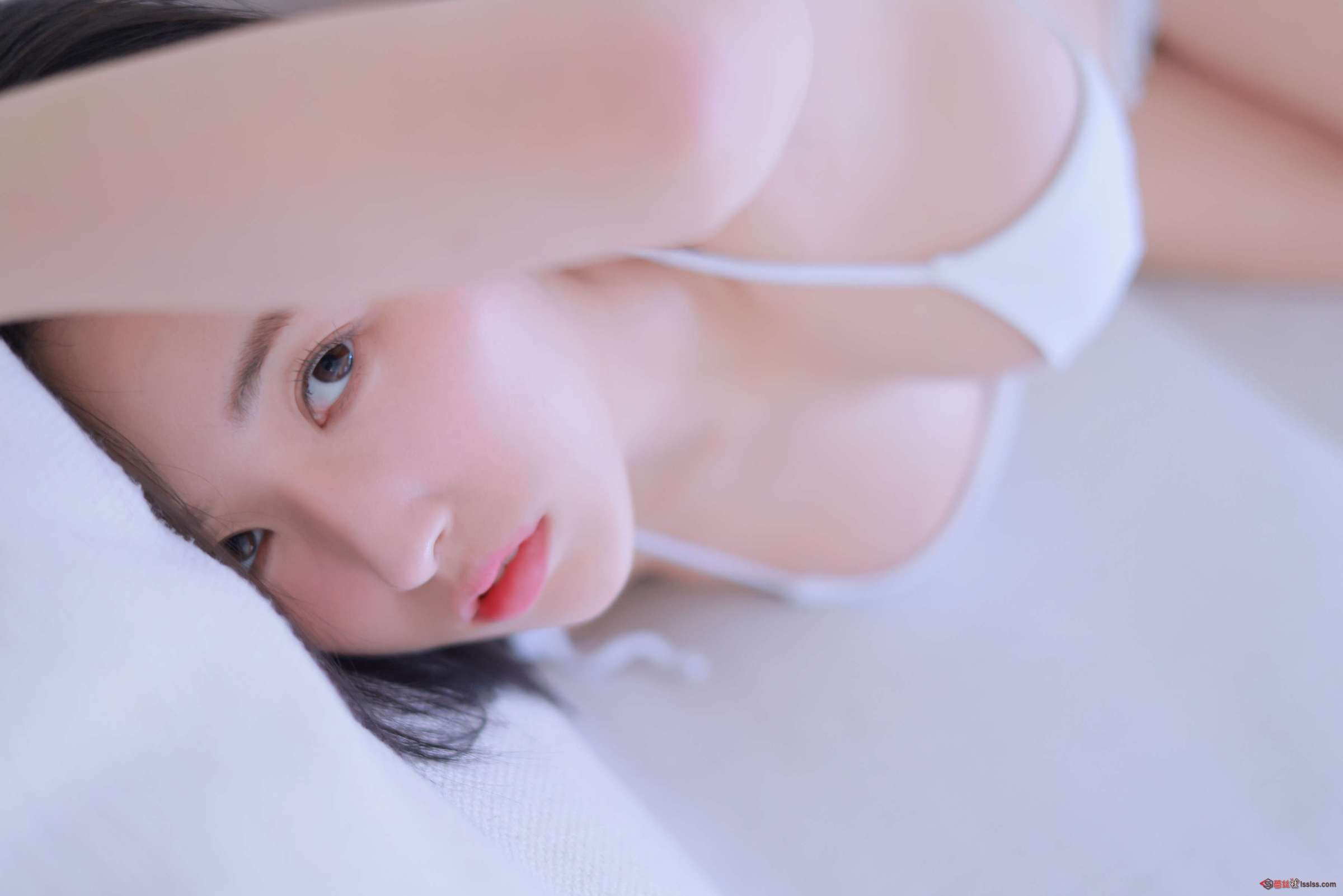 https://www.lss77.com/wp-content/uploads/2024/08/1724259944-eda80a3d5b344bc-2400x1601.jpg
