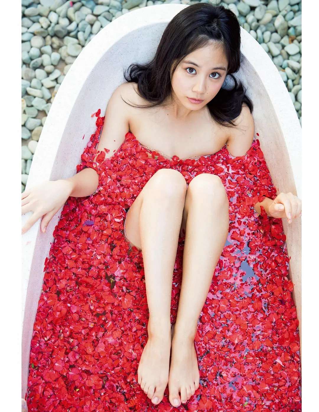 https://www.lss77.com/wp-content/uploads/2024/08/1724520114-58238e9ae2dd305.jpg