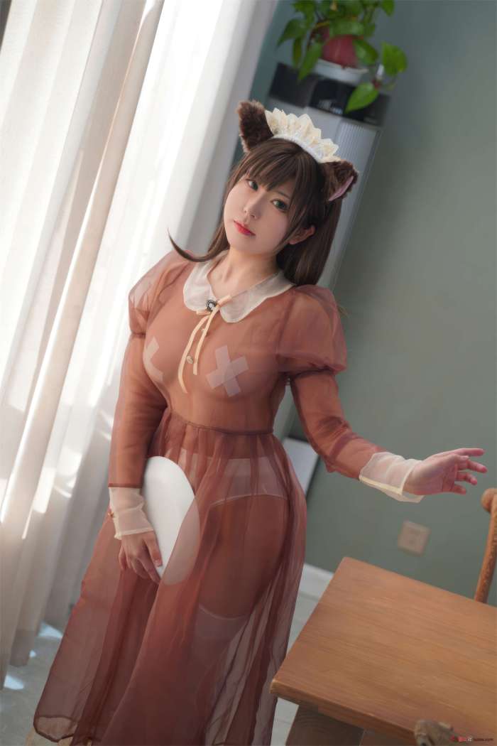 虎森森 – 棕色透明女仆 [35P148MB]