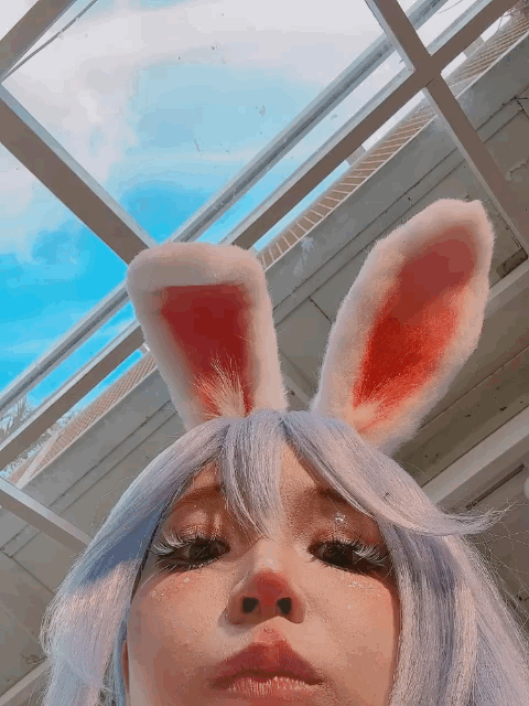 https://www.lss77.com/wp-content/uploads/2024/09/1725604987-1afa34a7f984eea-1.gif