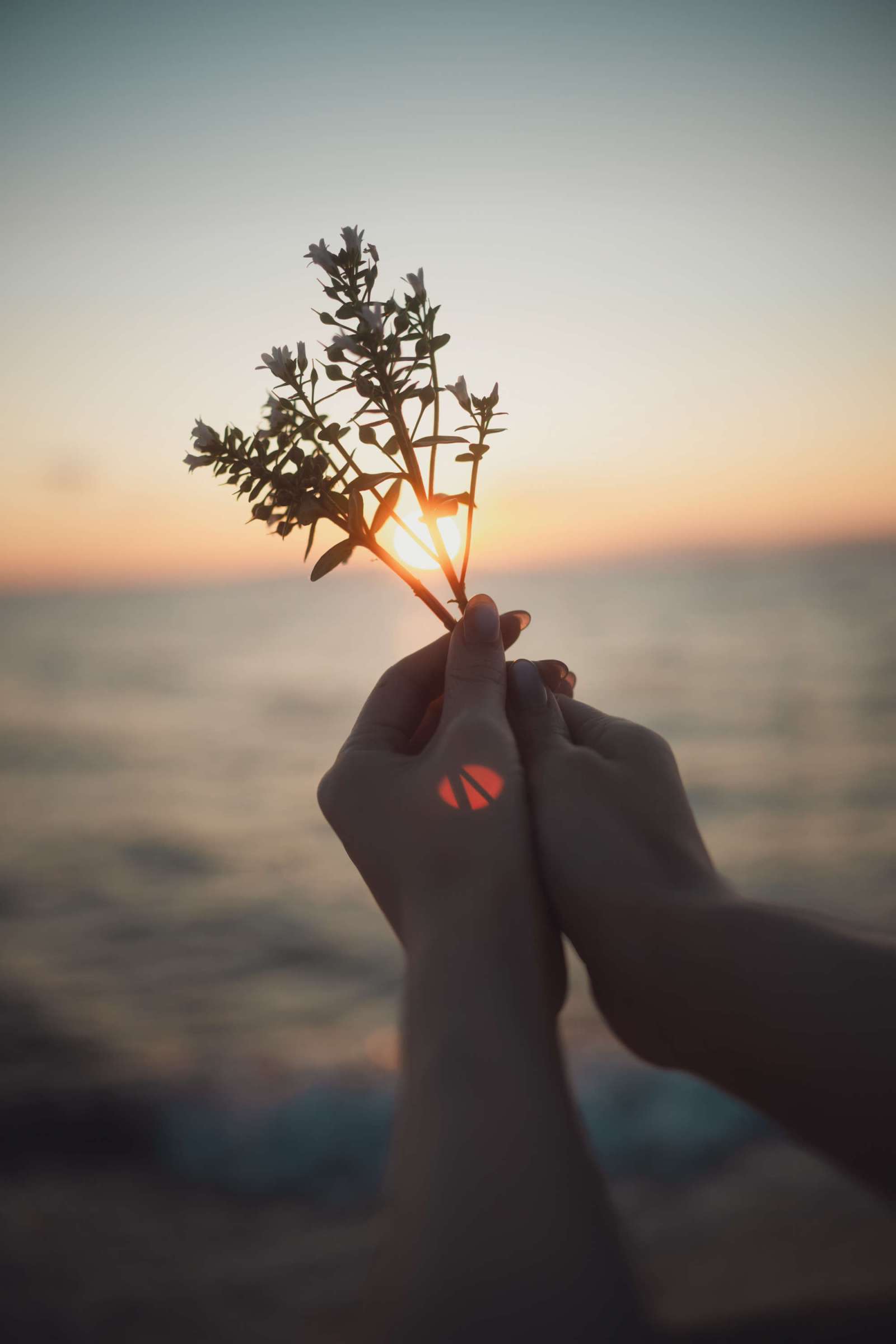 https://www.lss77.com/wp-content/uploads/2024/09/1726683177-6c340f25839e6ac-1600x2400.jpg
