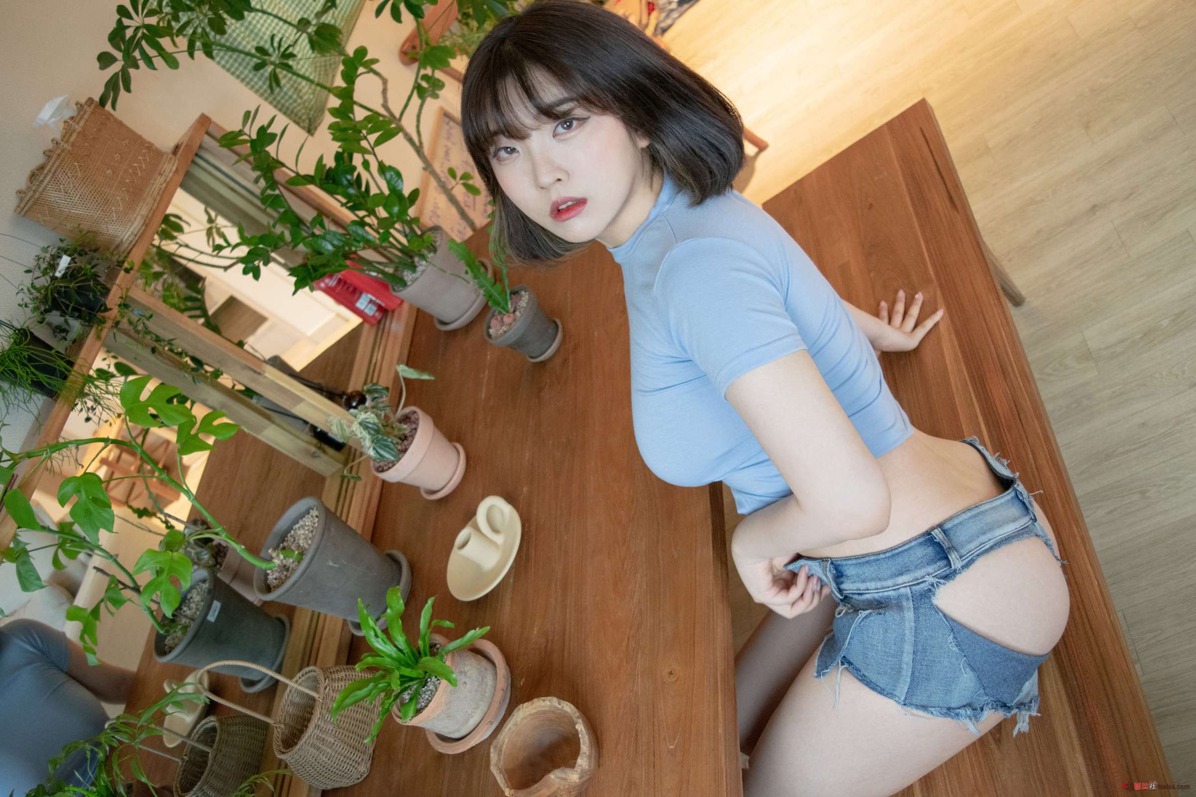 https://www.lss77.com/wp-content/uploads/2024/09/1726683514-3d2d8ccb37df977-2400x1600.jpg