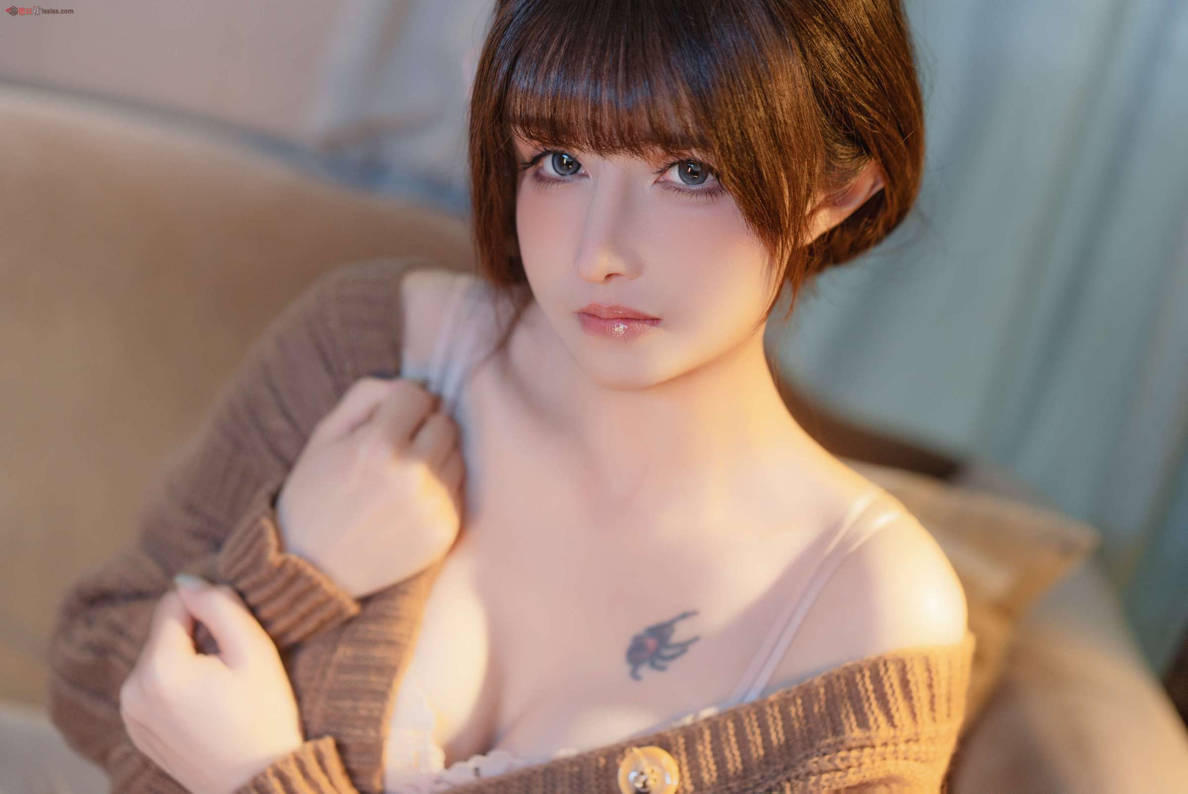 第17张