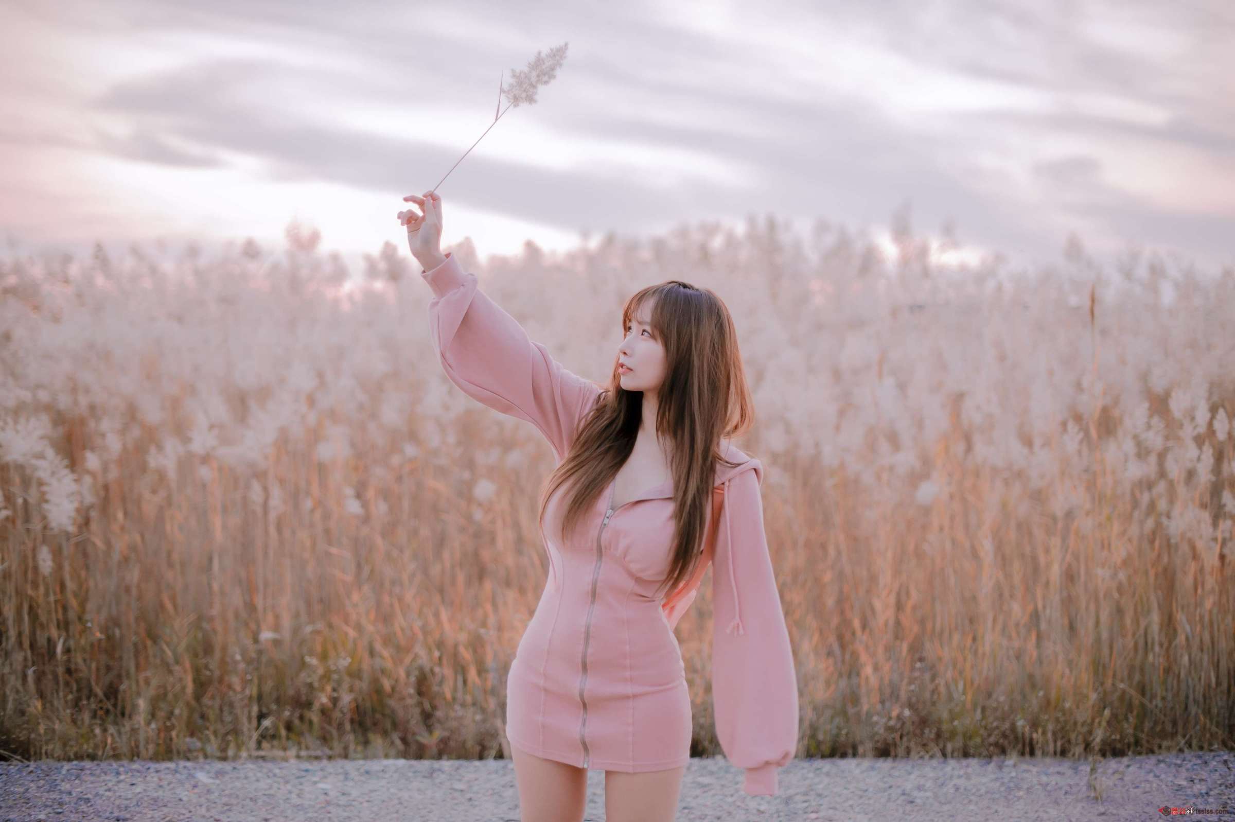 https://www.lss77.com/wp-content/uploads/2024/09/1727241092-5c729ddd145eddc-2400x1597.jpg