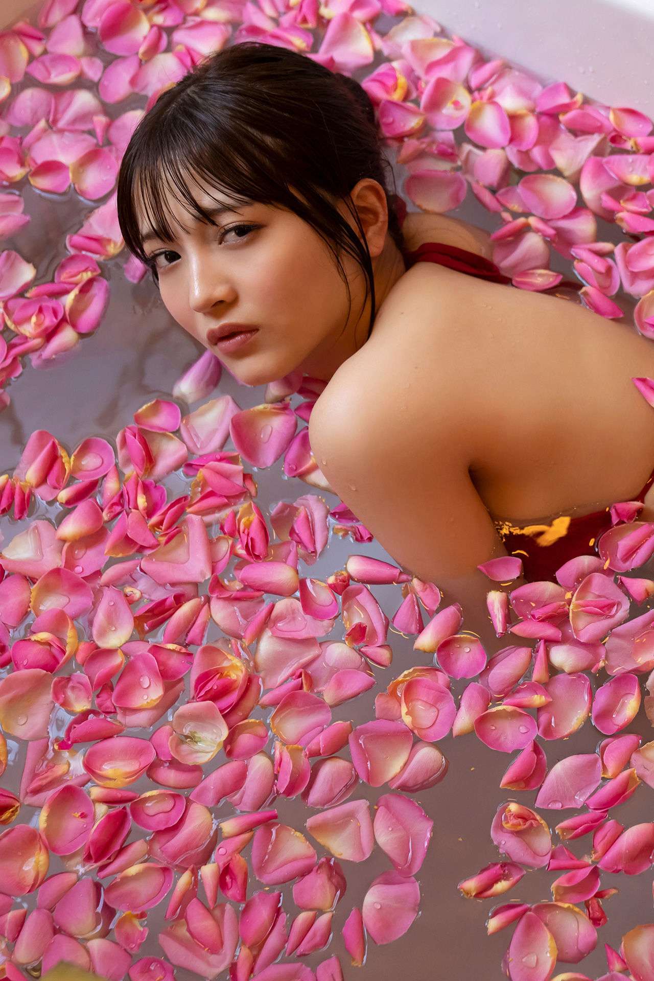 https://www.lss77.com/wp-content/uploads/2024/09/1727535808-e7b24b112a44fdd.jpg