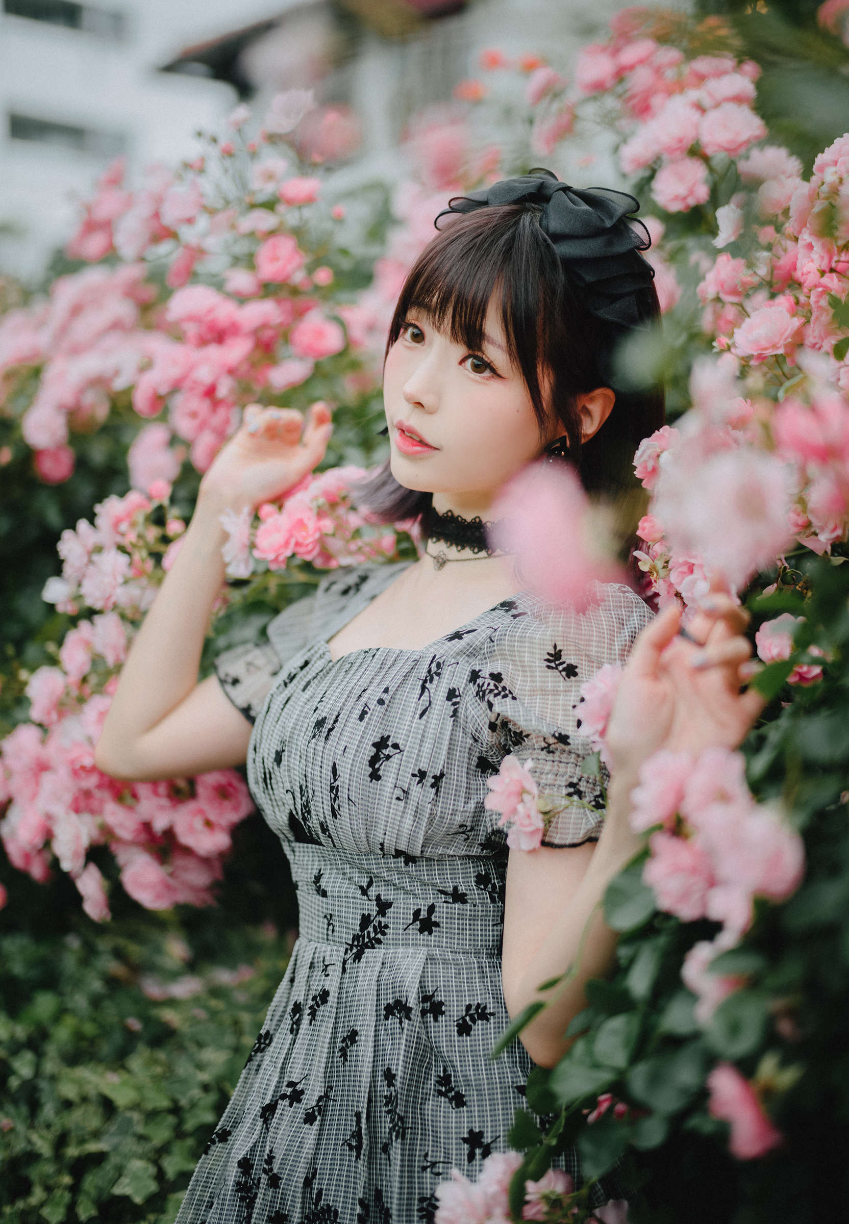 https://www.lss77.com/wp-content/uploads/2024/09/1727712993-671f8ff3e6c9b66.jpg
