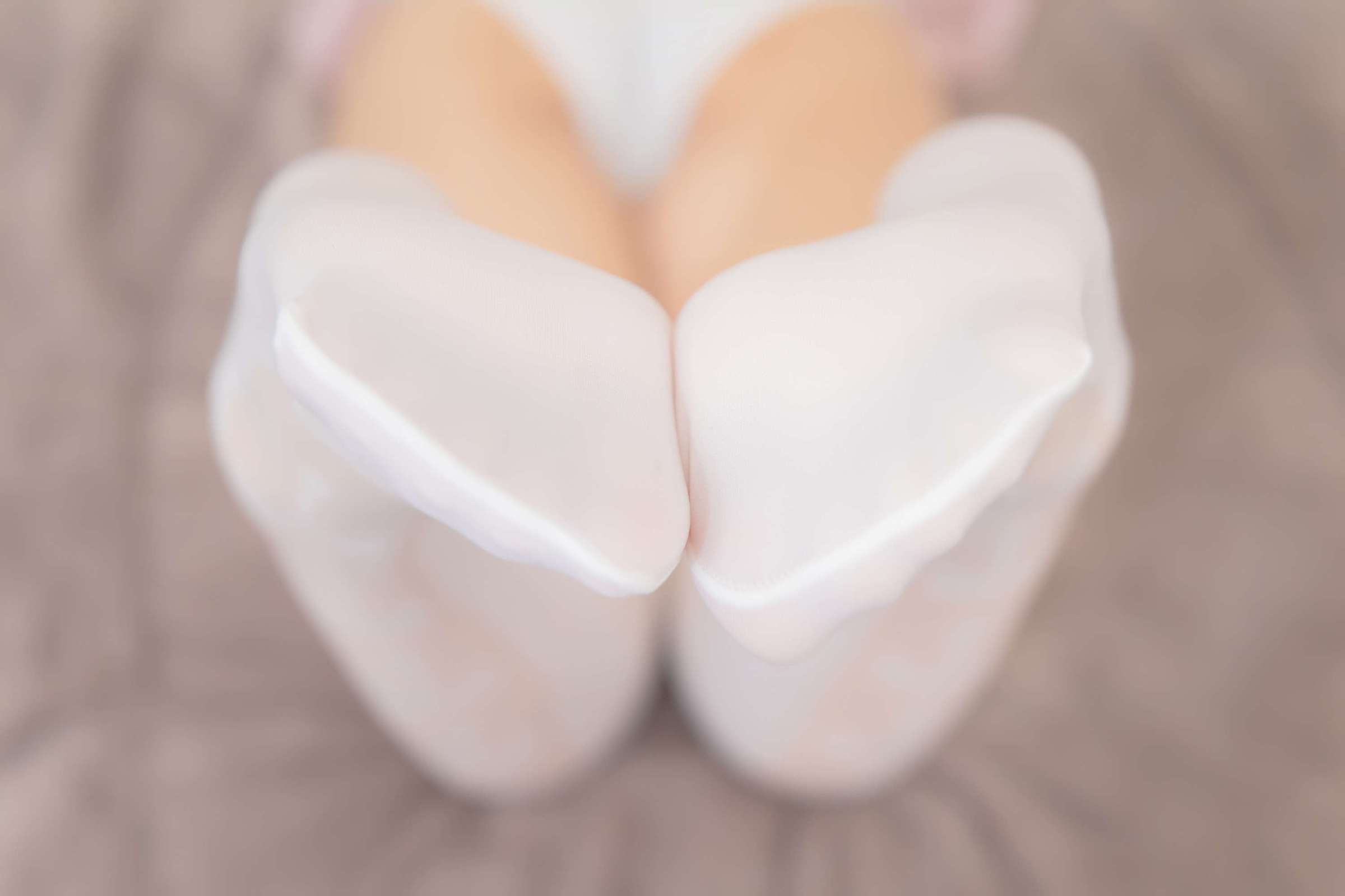 https://www.lss77.com/wp-content/uploads/2024/10/1728457007-85d606c4530d988-2400x1600.jpg