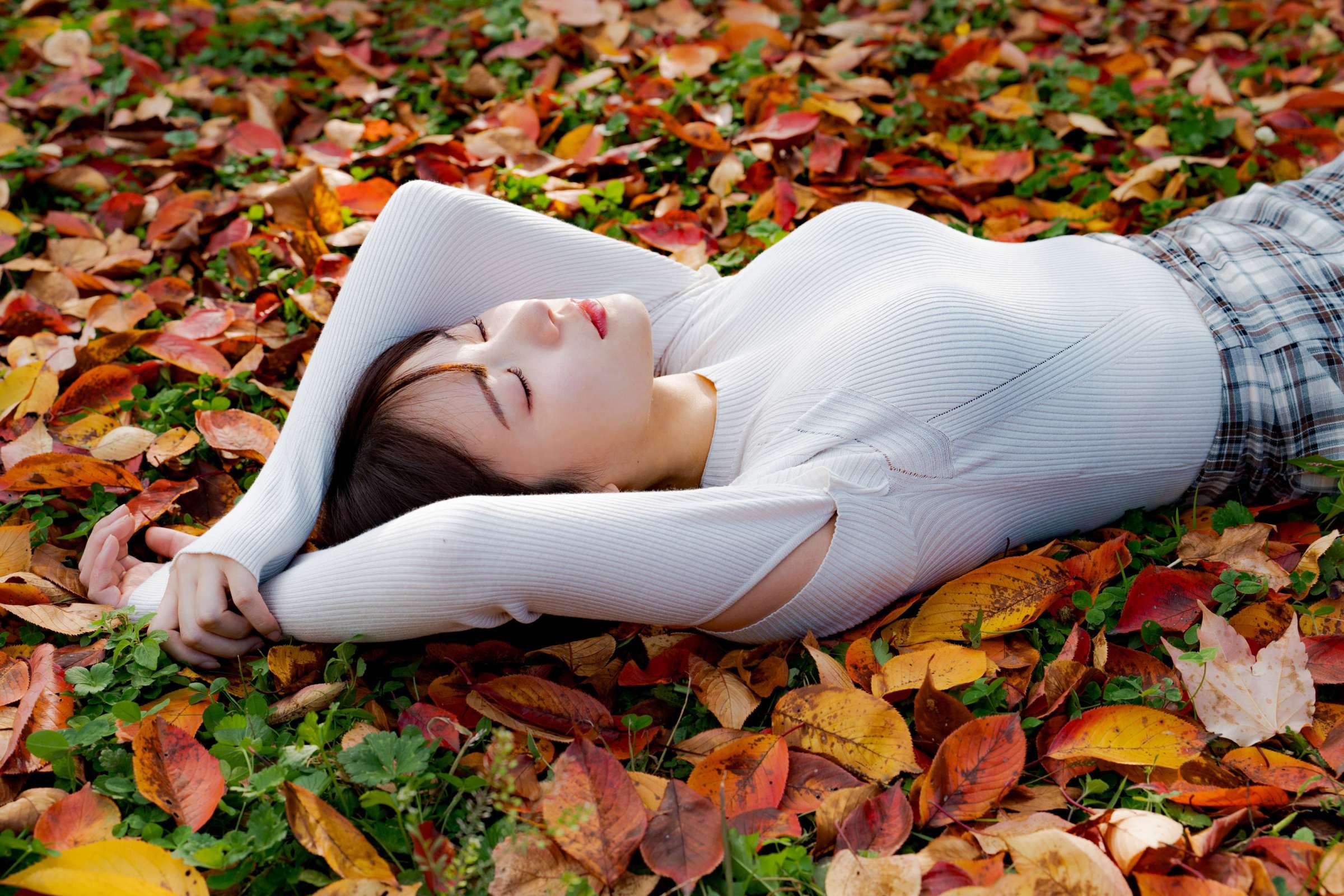 https://www.lss77.com/wp-content/uploads/2024/10/1728494795-73187133462b4cc-2400x1600.jpg