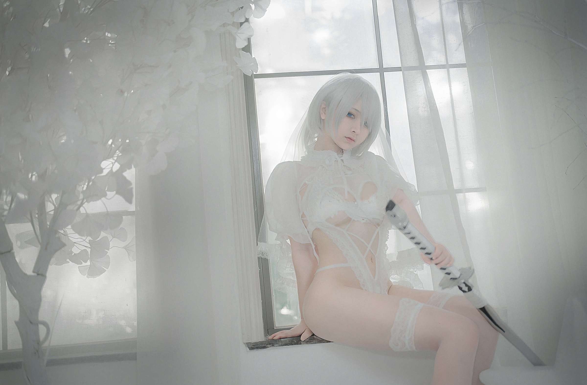 https://www.lss77.com/wp-content/uploads/2024/10/1729073595-e555ebe0ce426f7-2400x1575.jpg