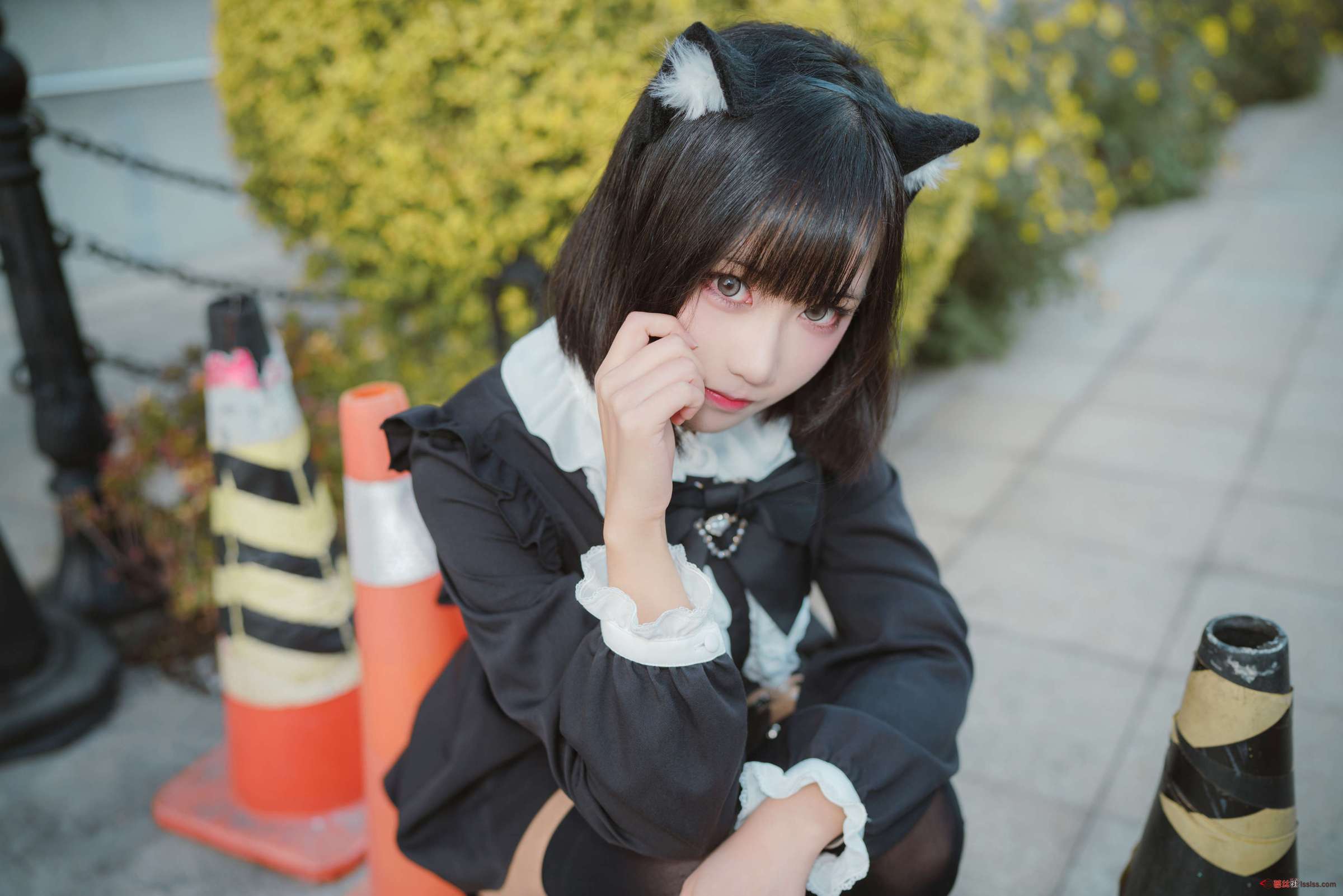 https://www.lss77.com/wp-content/uploads/2024/10/1729239280-490b6c600e1a306-2400x1601.jpg