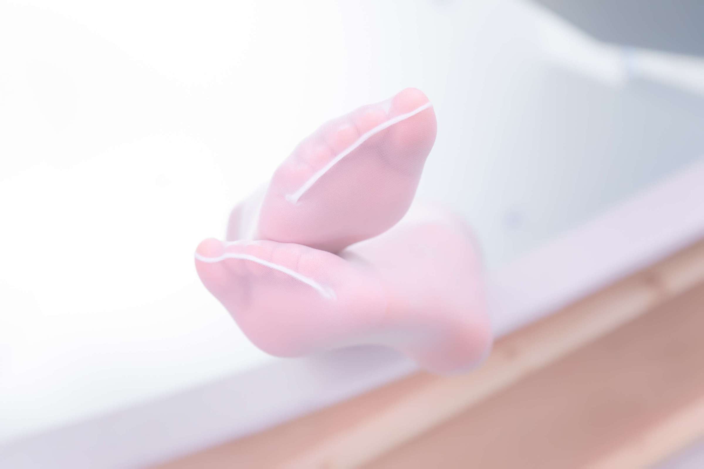 https://www.lss77.com/wp-content/uploads/2024/10/1729399410-4a08142c38dbe37-2400x1600.jpg