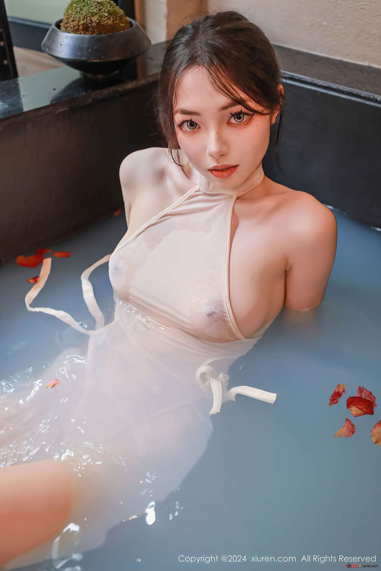https://www.lss77.com/wp-content/uploads/2024/10/1730211943-8ae502a489e46e1-1600x2400.jpg