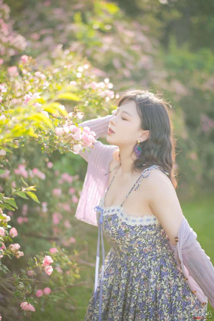 皮皮奶可可爱了啦 – 蔷薇花 [37P269MB]