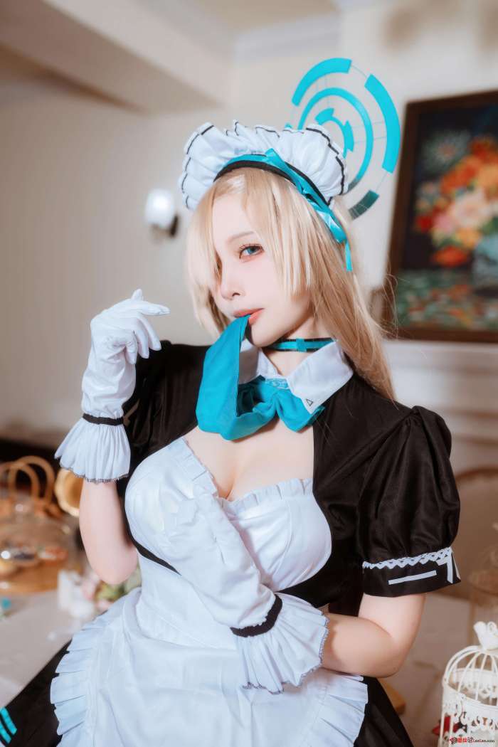 二佐Nisa – 蔚蓝档案-明日奈女仆[30P-260MB]